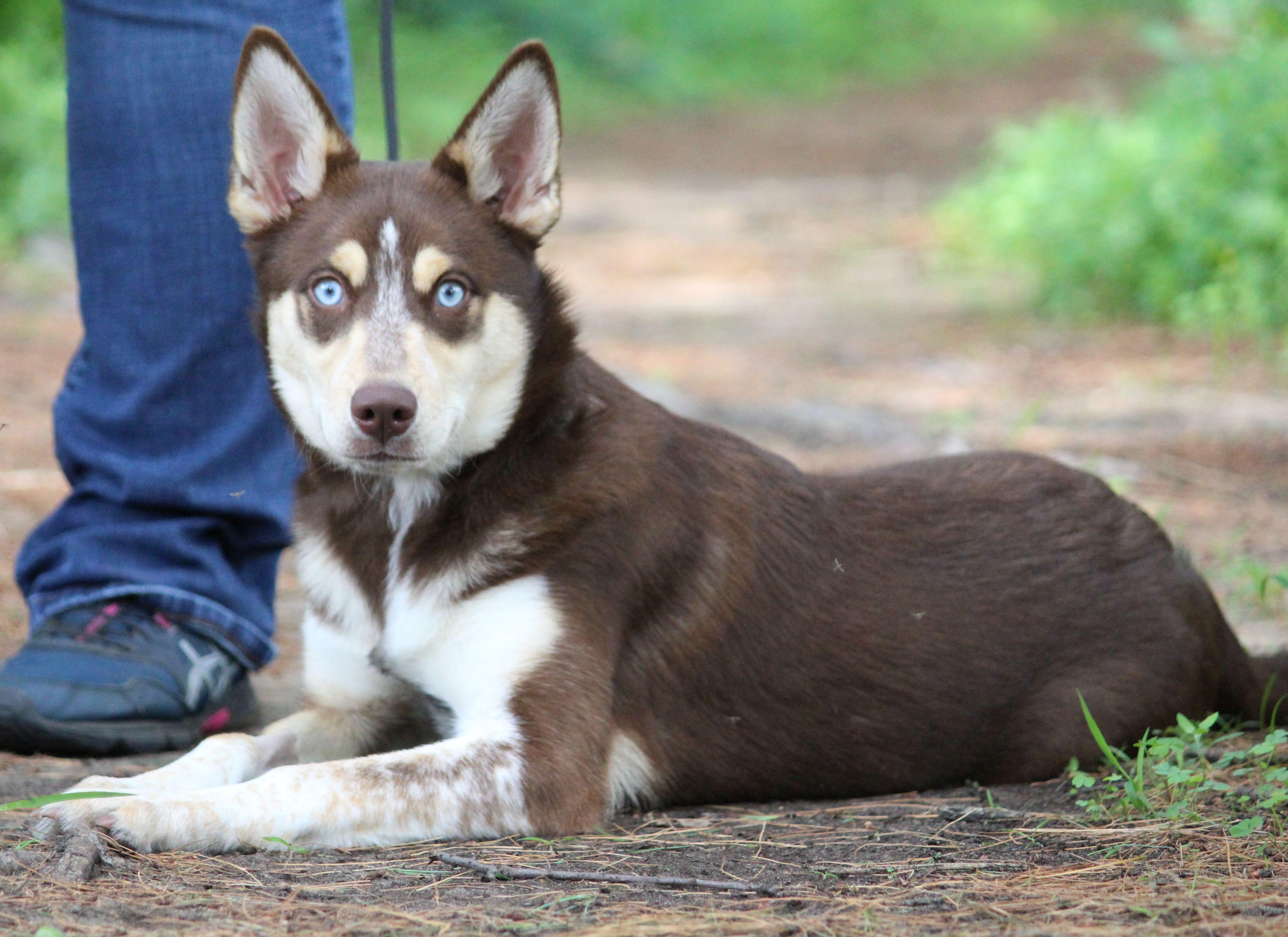 Yuki