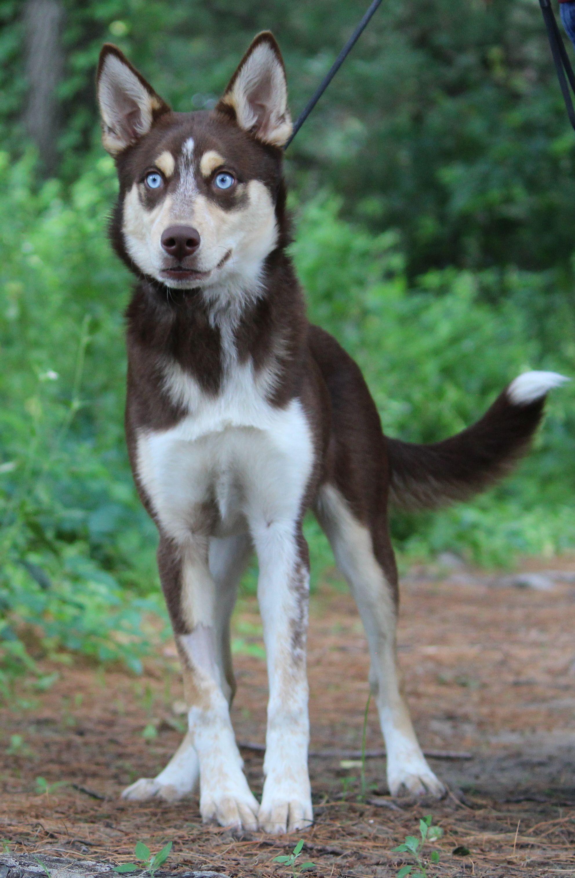 Yuki