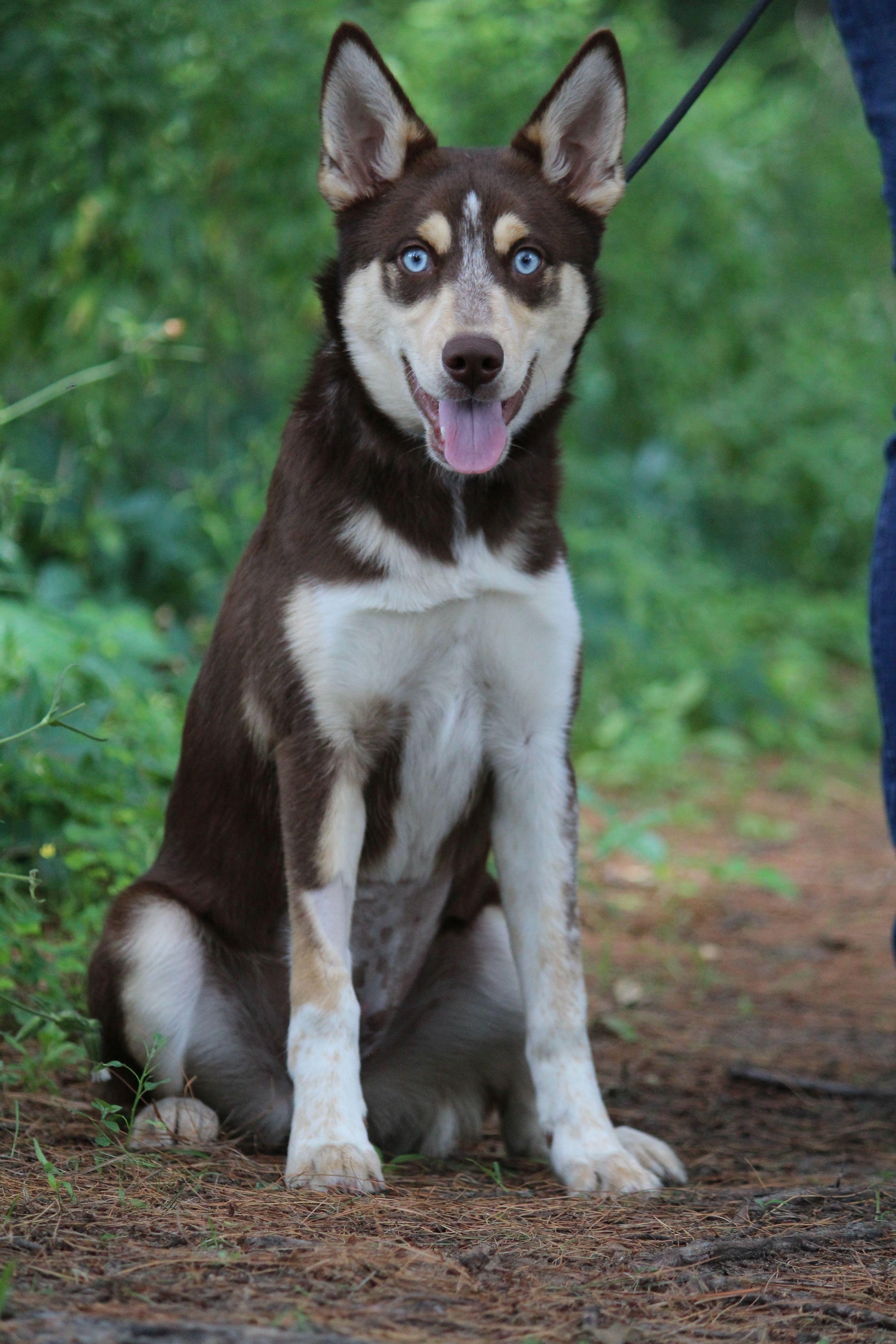 Yuki