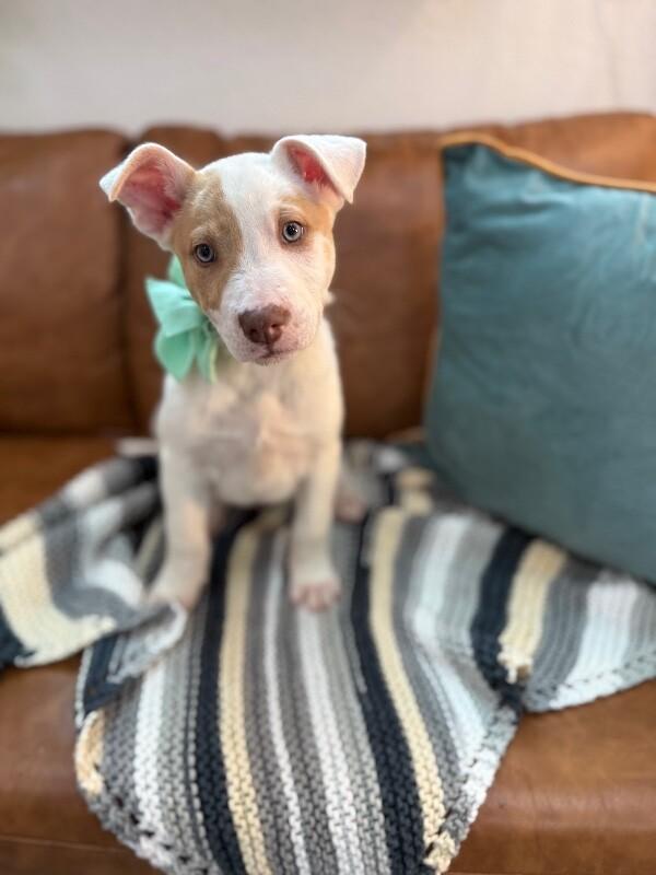 Barry White — thumbnail 2