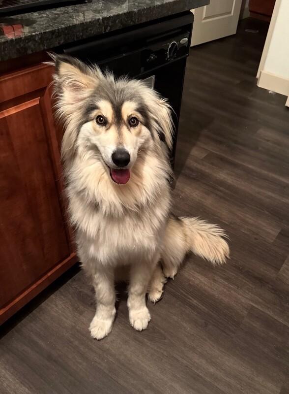 Fiona photo
