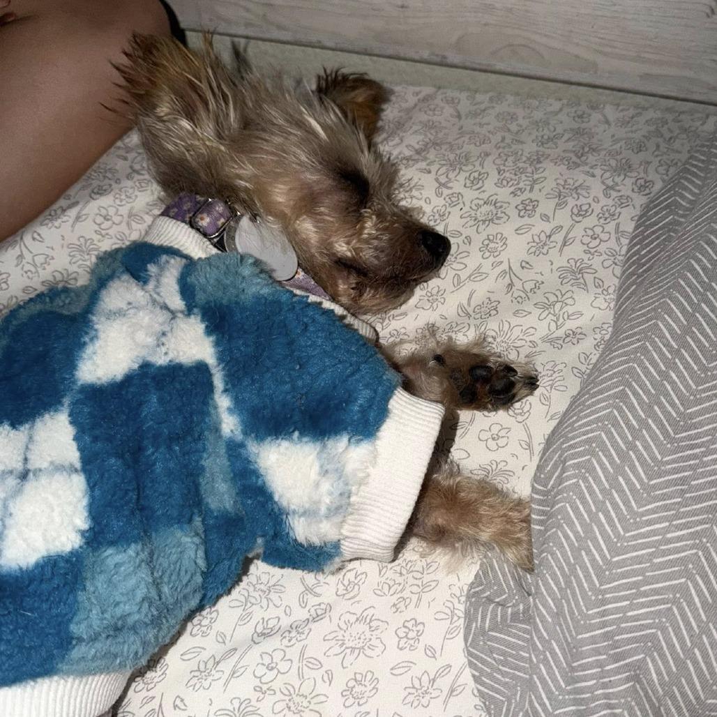 Denise — thumbnail 3