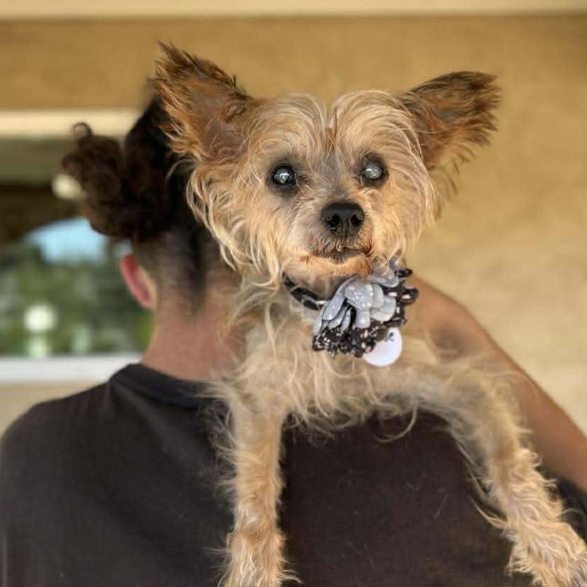 Denise — thumbnail 4