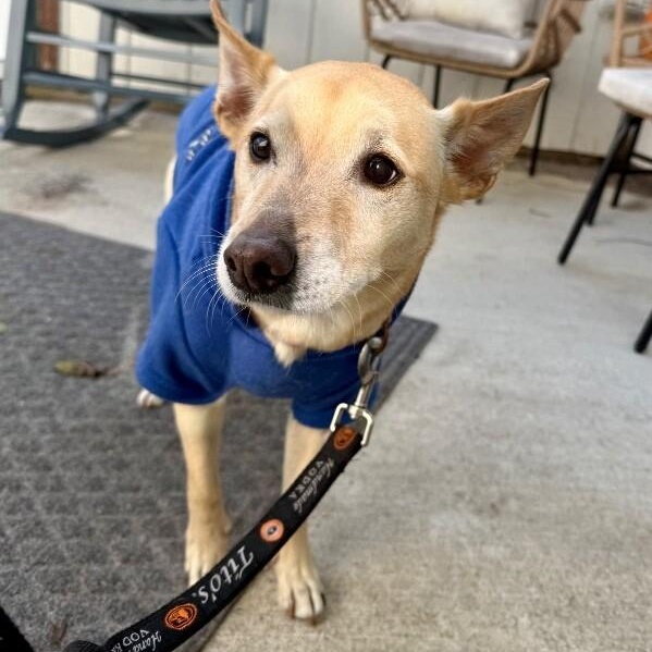 Buddy Reid — thumbnail 2