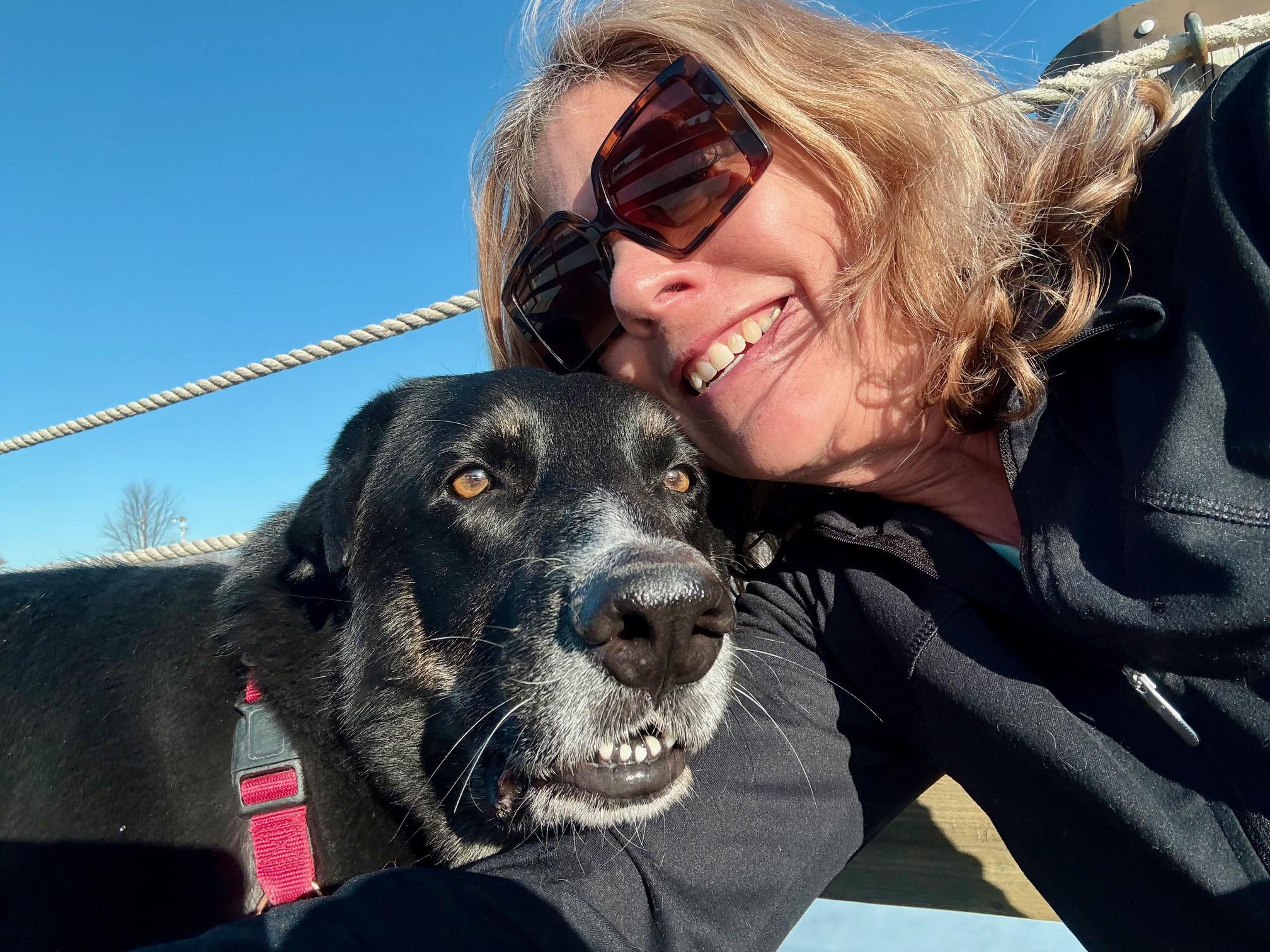 Cash-Good with dogs, cats & people!, an adoptable mixed breed in Oshkosh, WI image 3/6