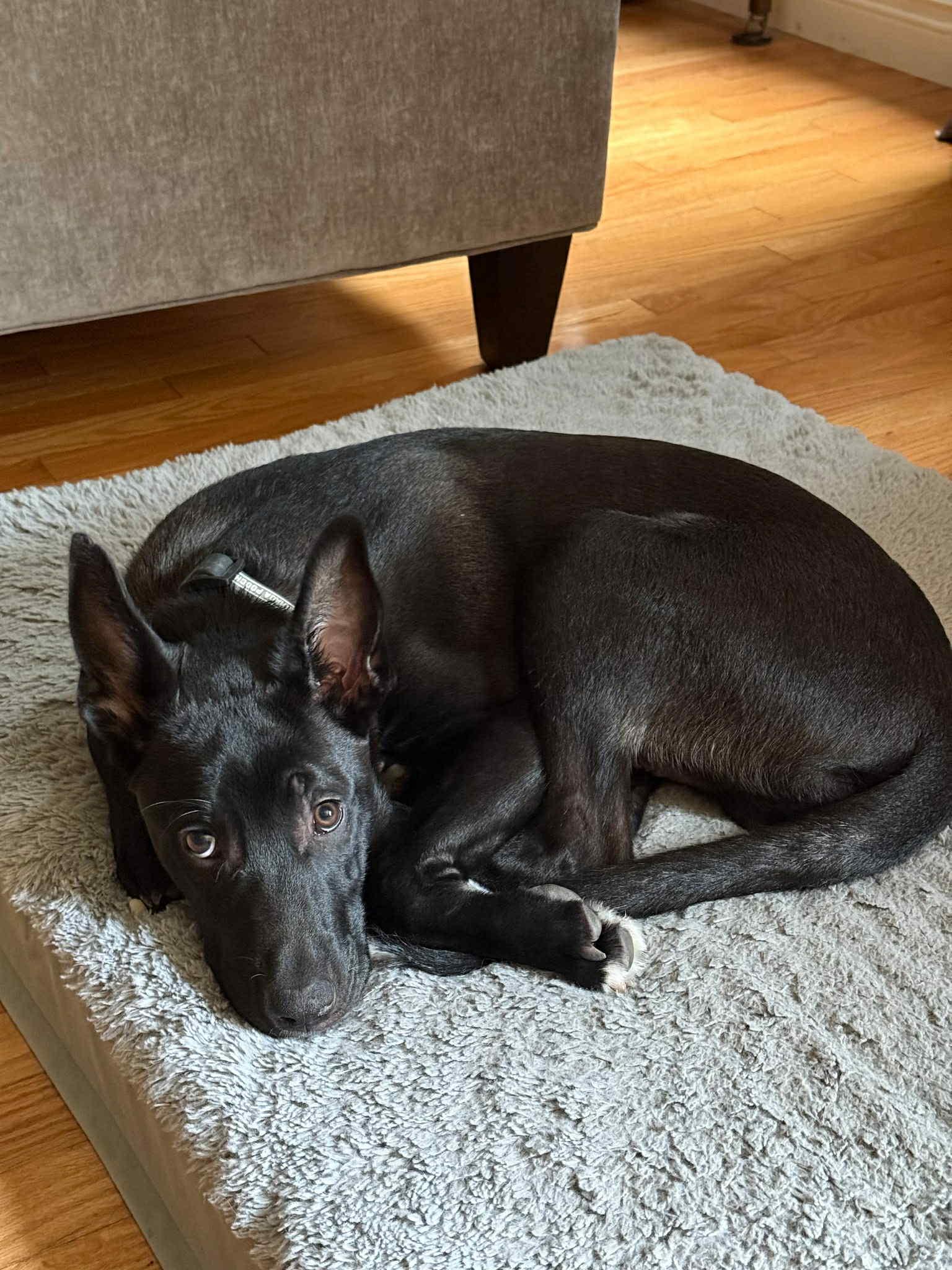 Mercury (20250507-17)