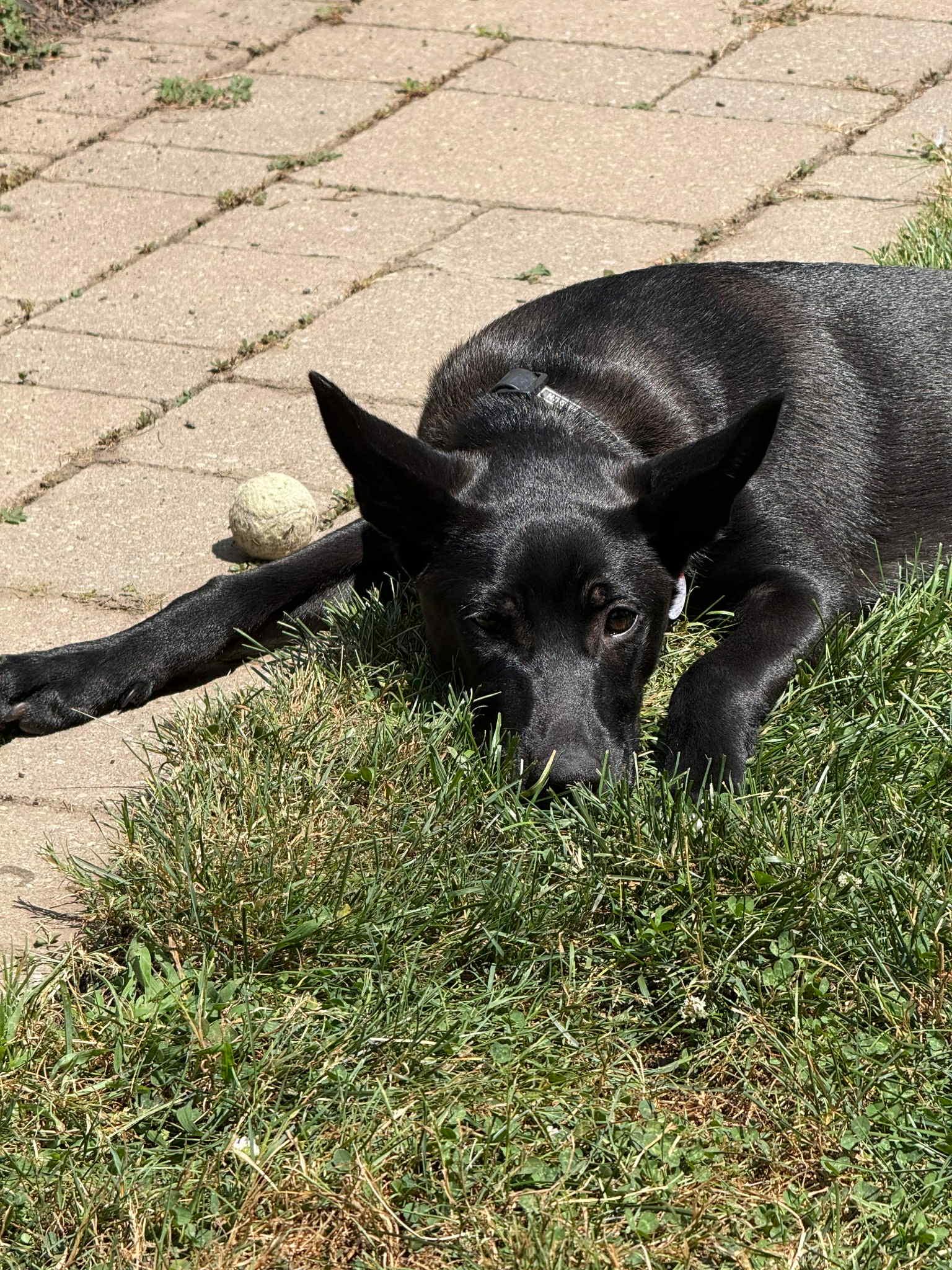 Mercury (20250507-17)