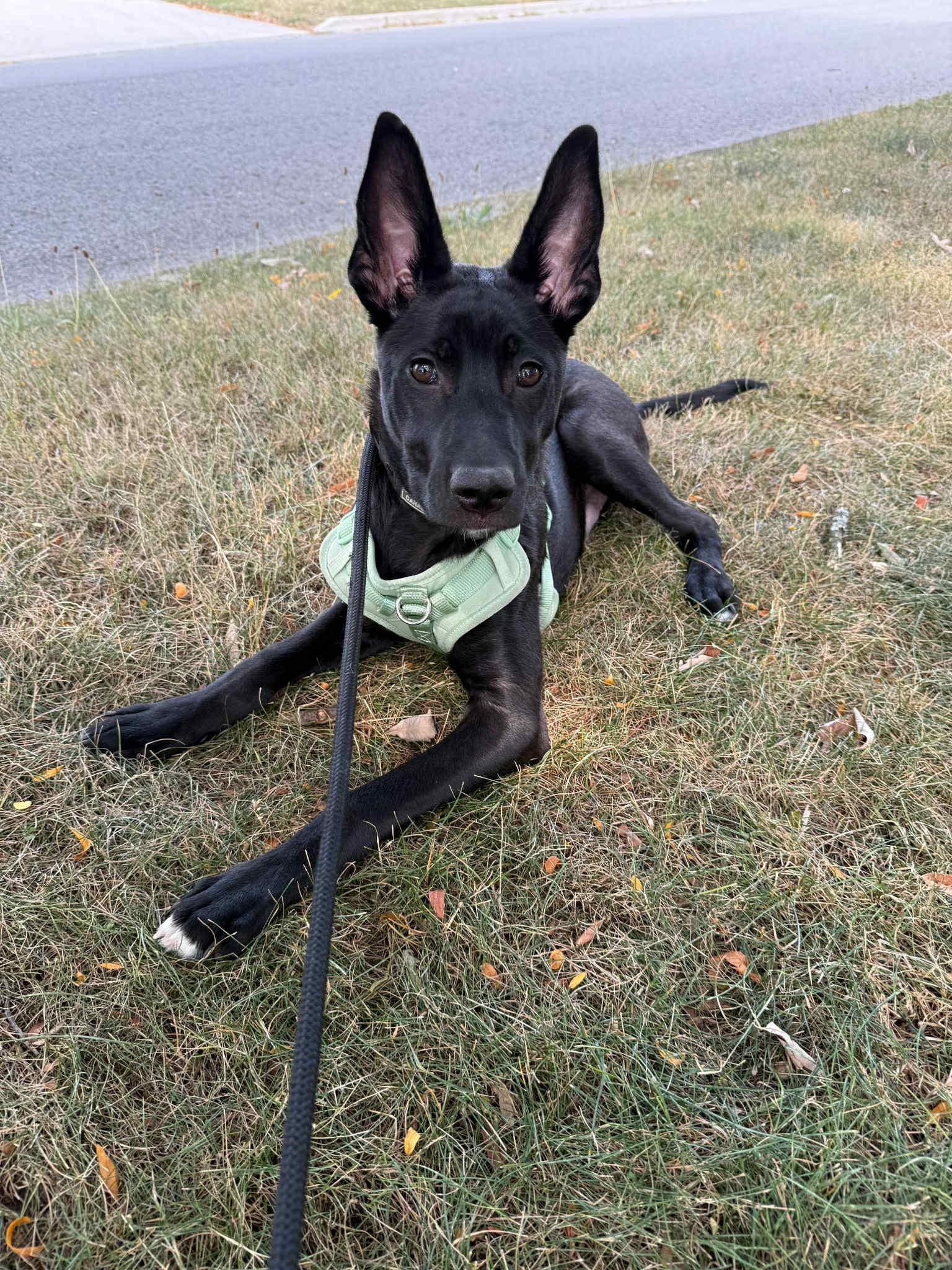 Mercury (20250507-17)