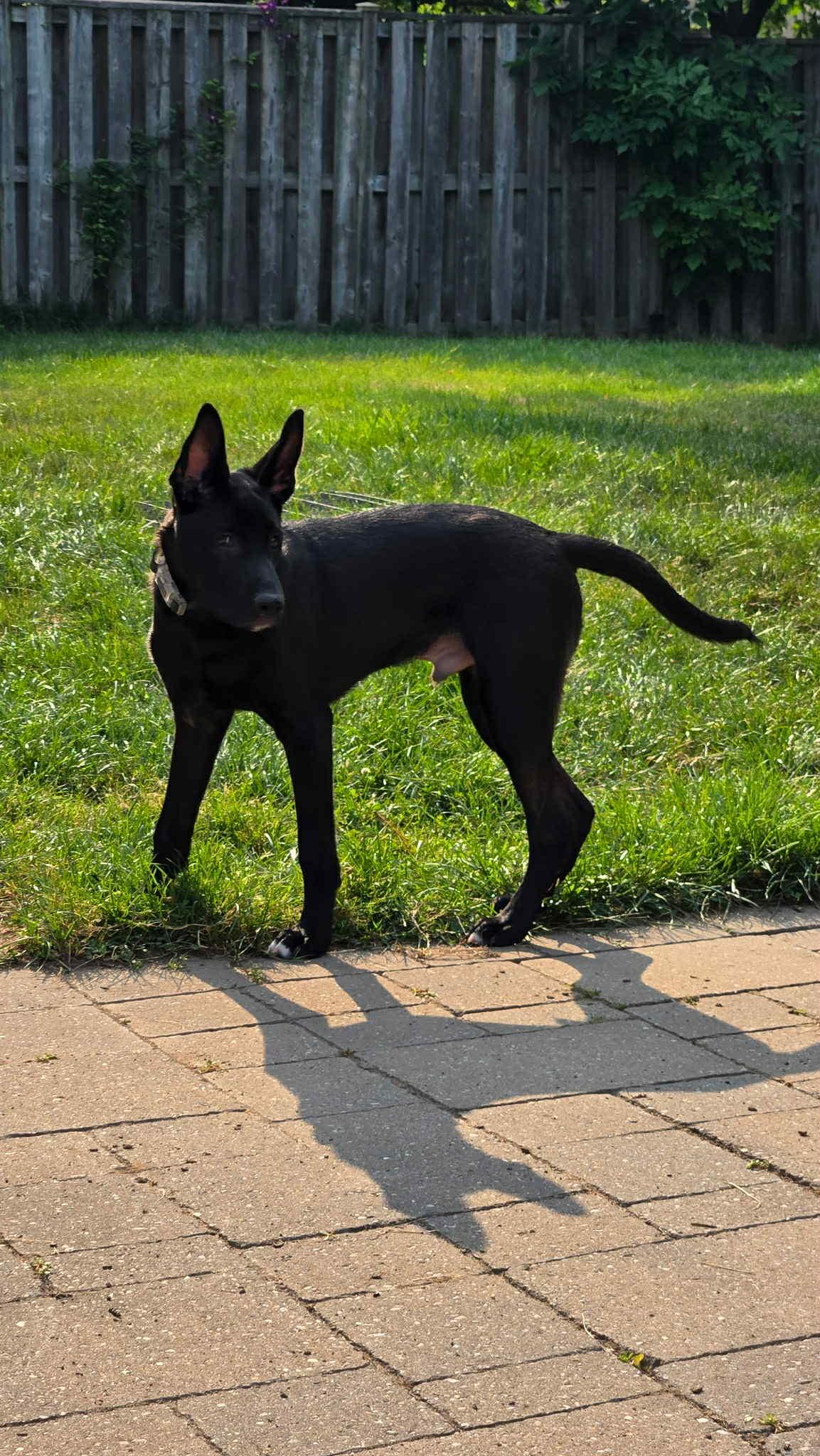 Mercury (20250507-17)