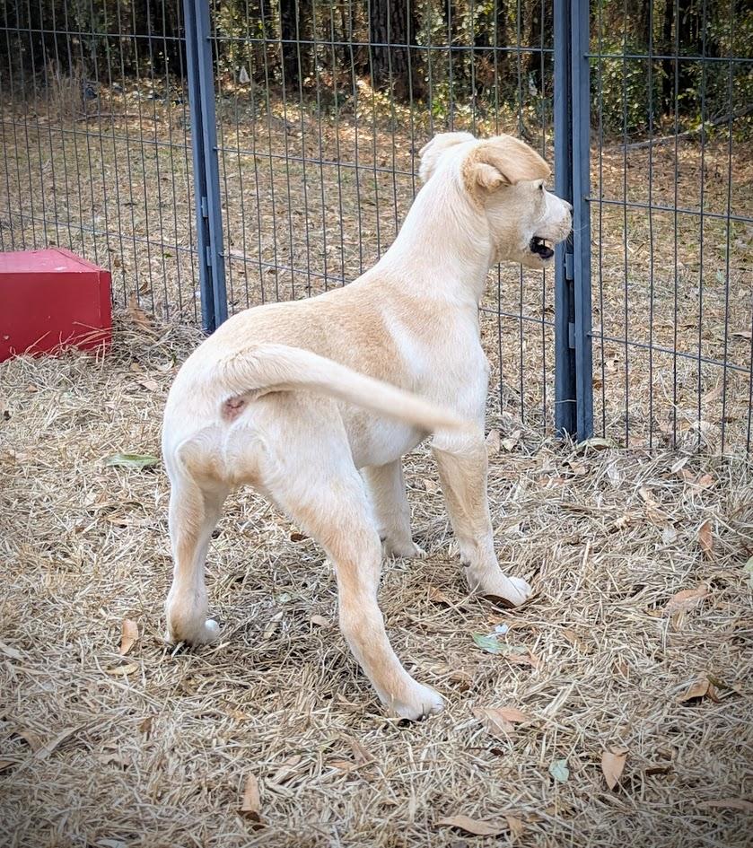 DAISY LEIGH JONES — thumbnail 5