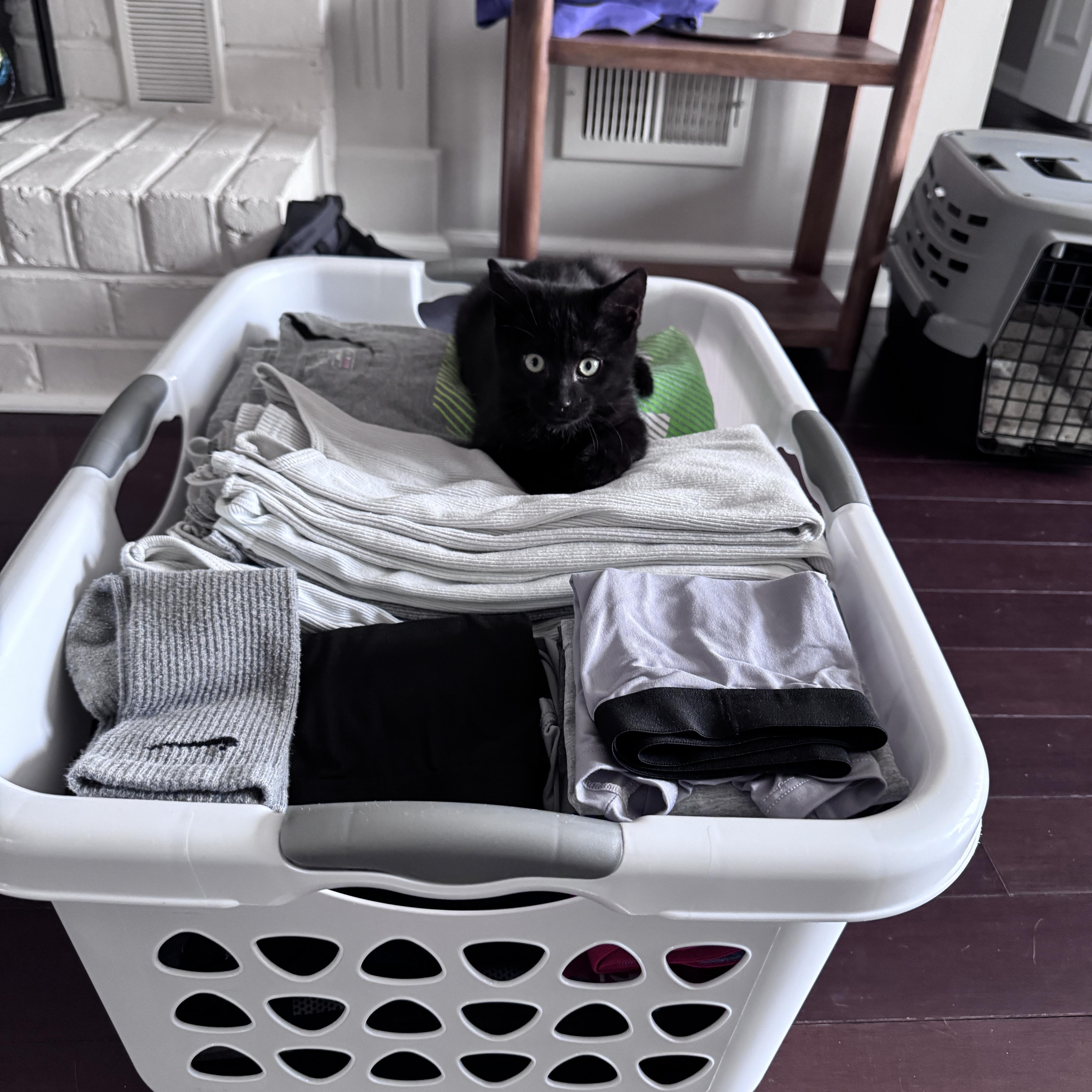 Salem — thumbnail 3