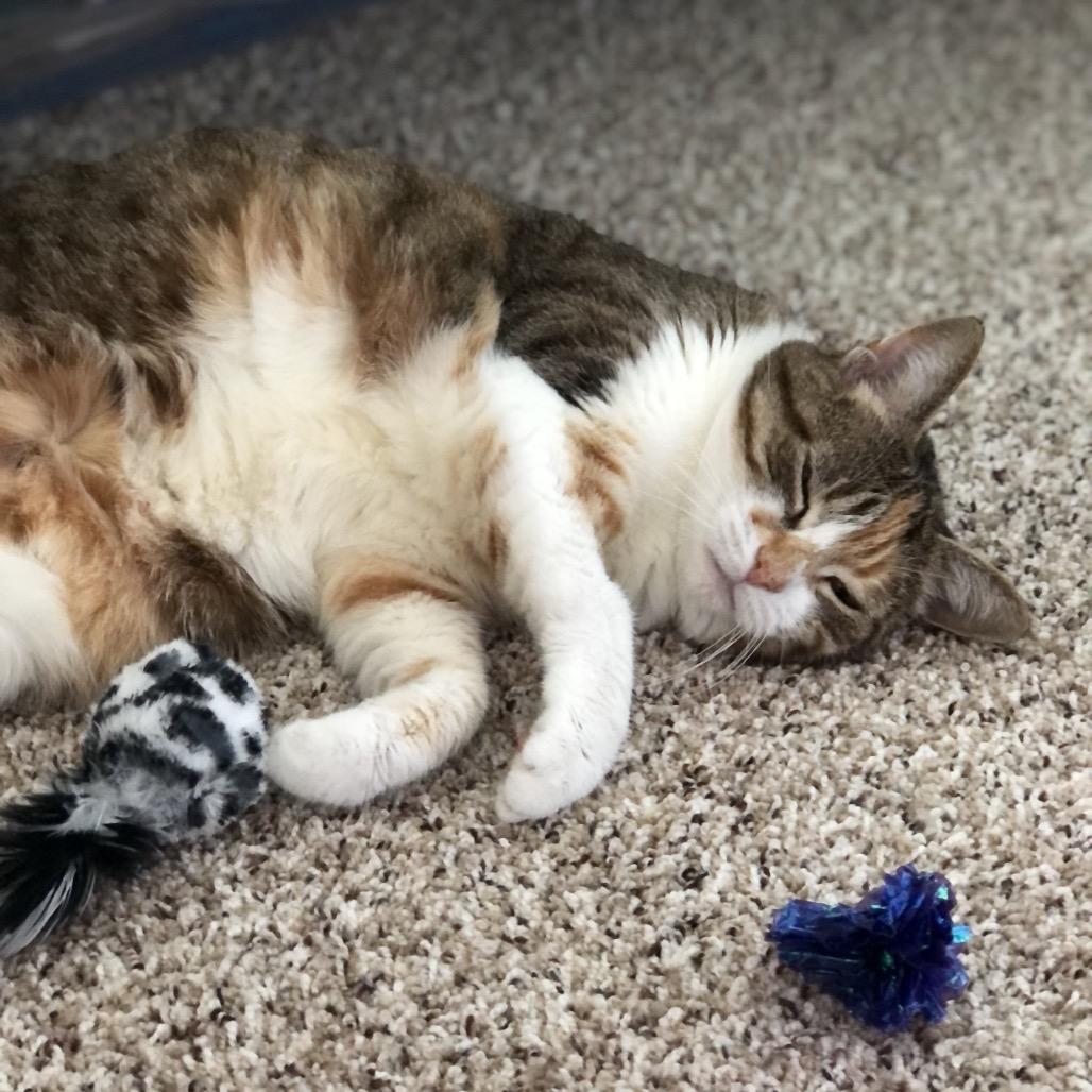 Bean — thumbnail 2