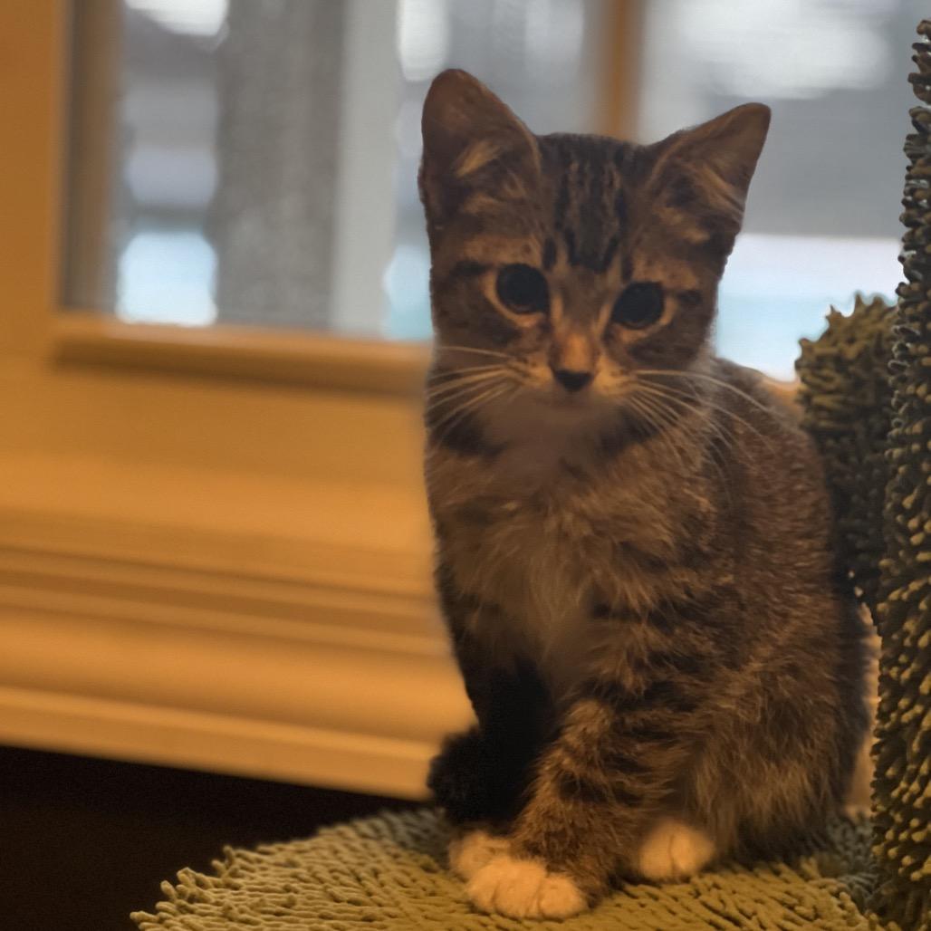 Bender — thumbnail 3