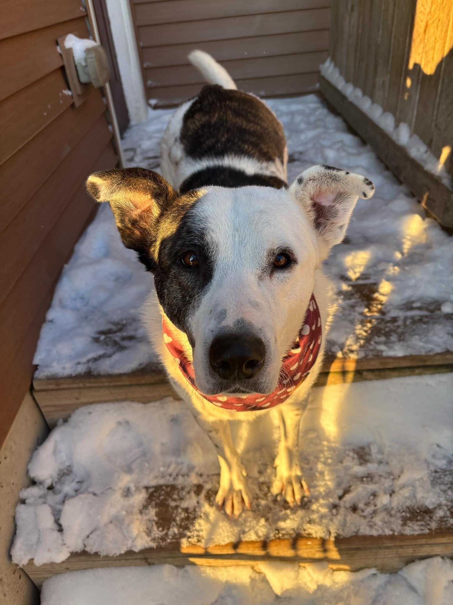 Kona photo 4