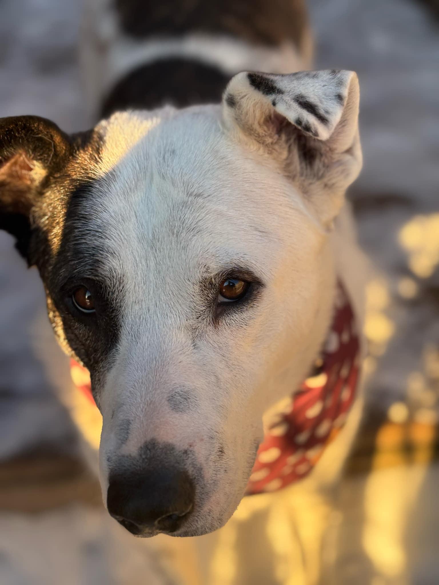 Kona photo 3