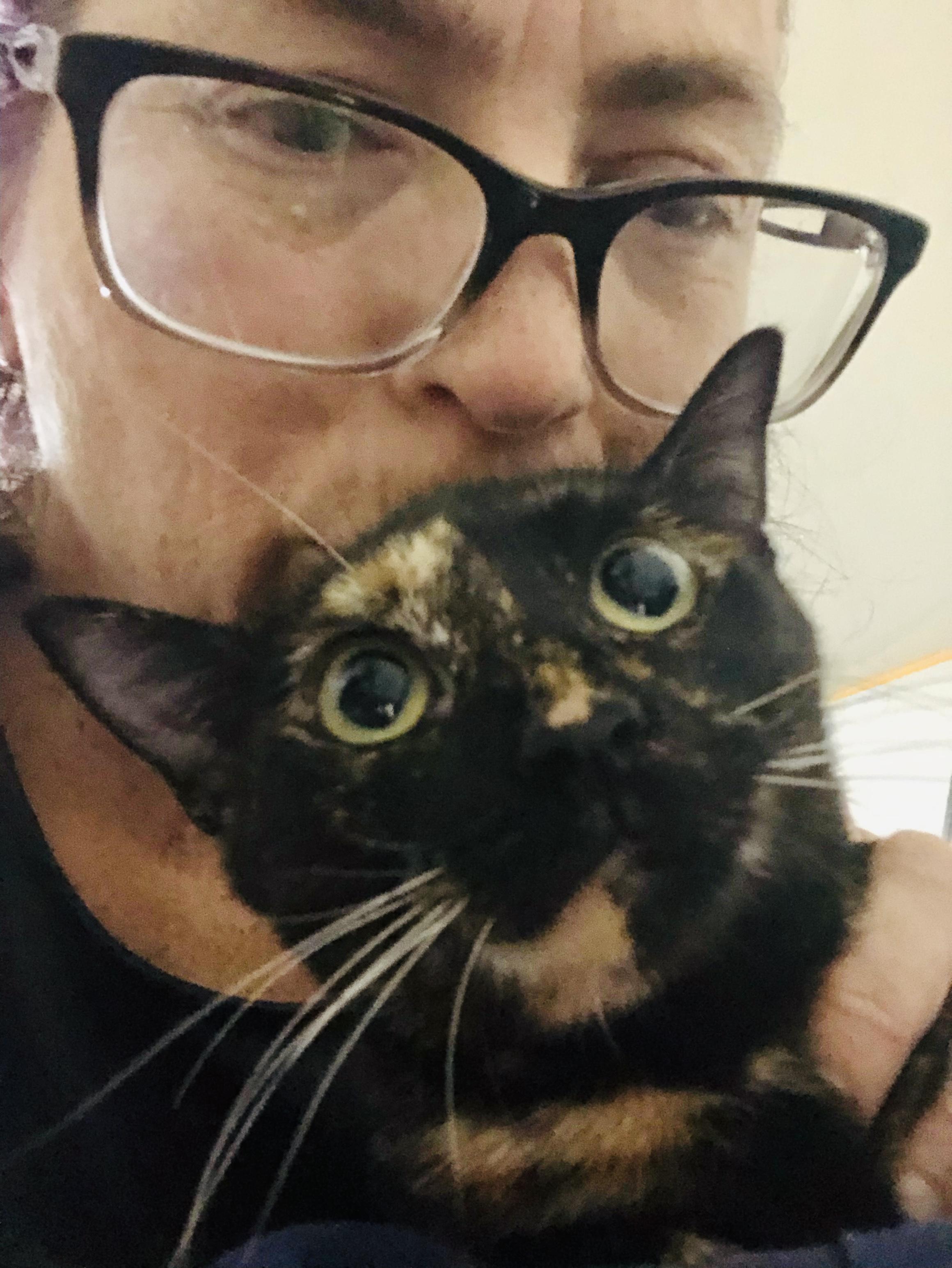 Hazel (loves kisses) young kitty