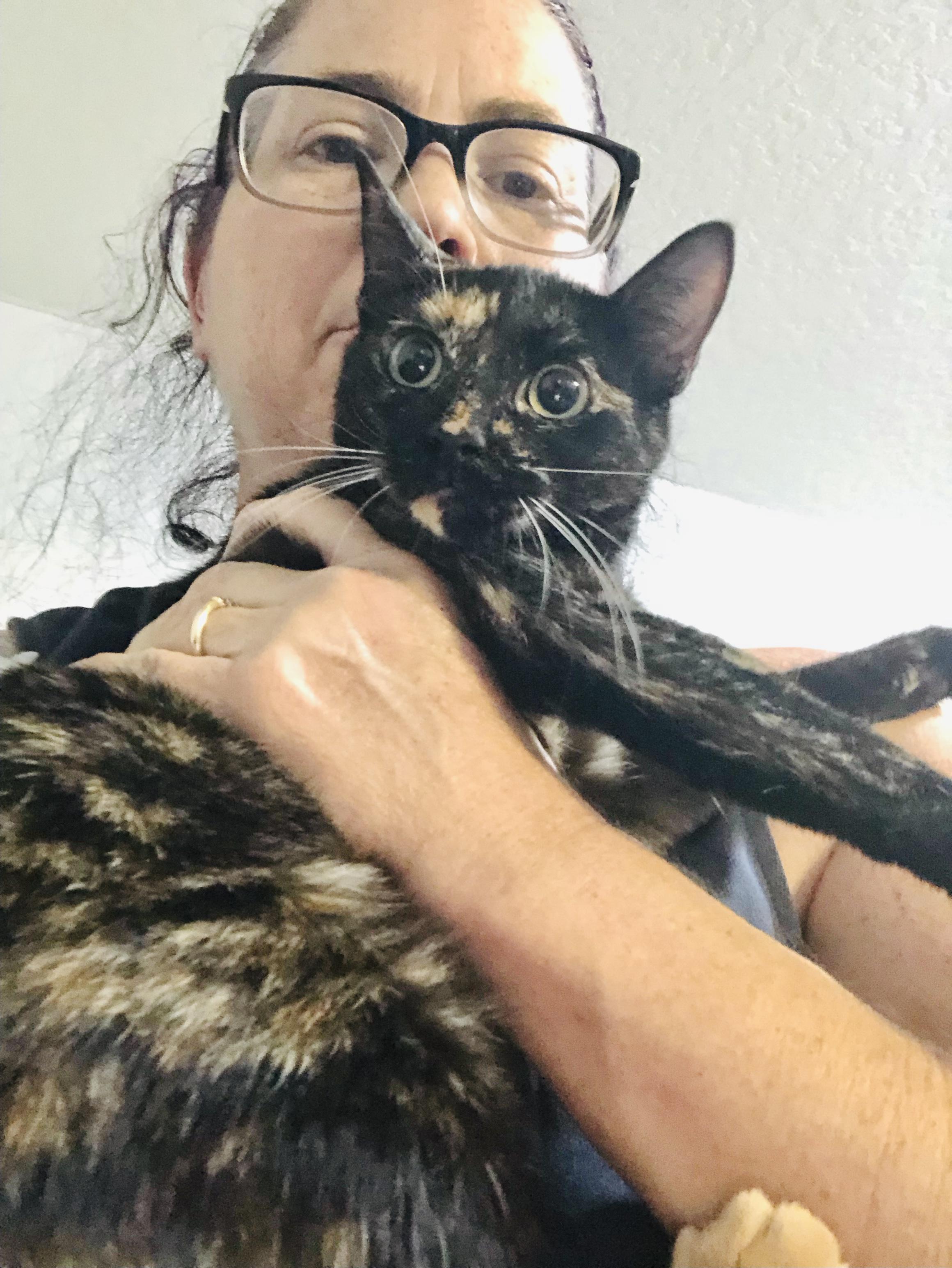 Hazel (loves kisses) young kitty