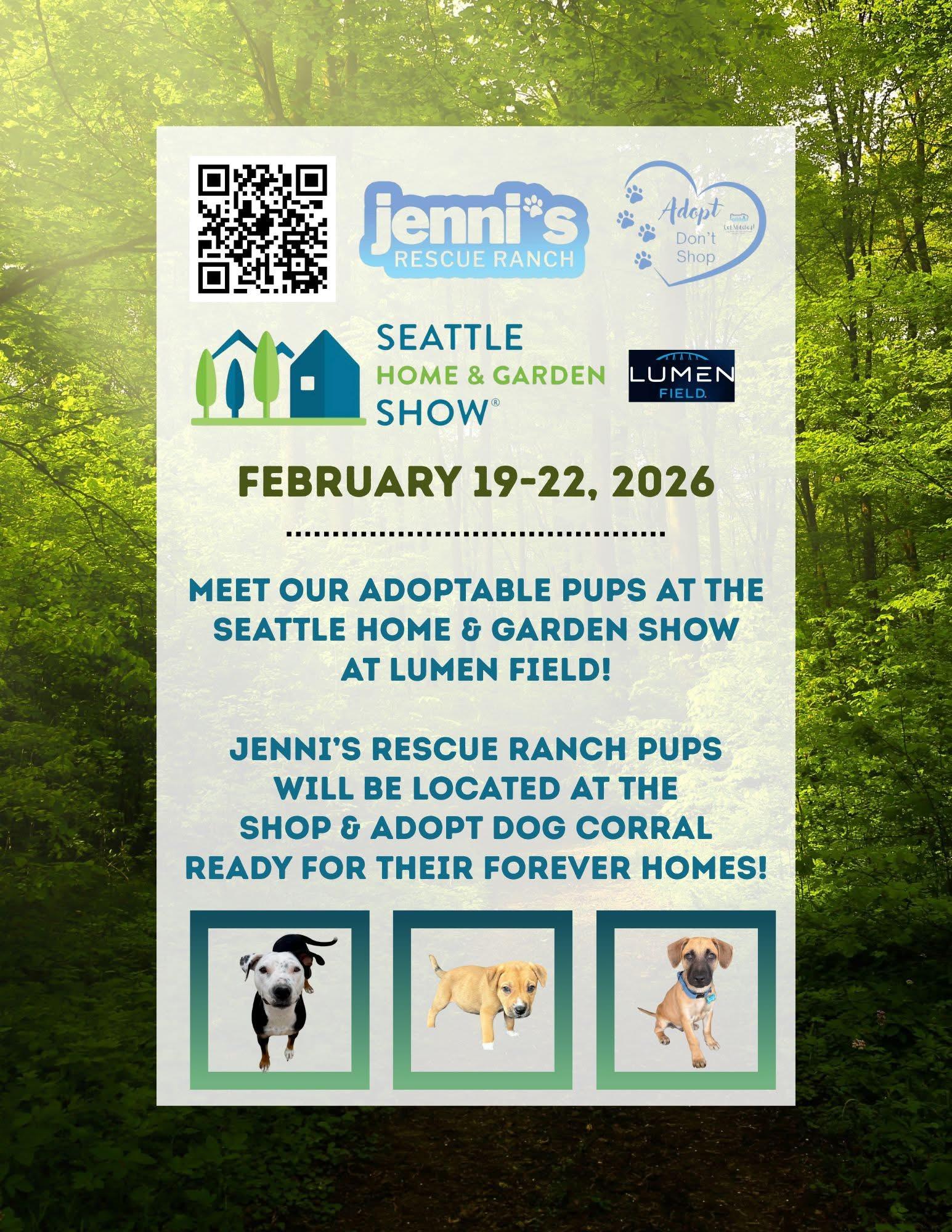 Enlarge Onyxius, a Adoptable mixed breed in Bellingham, WA image 4/4