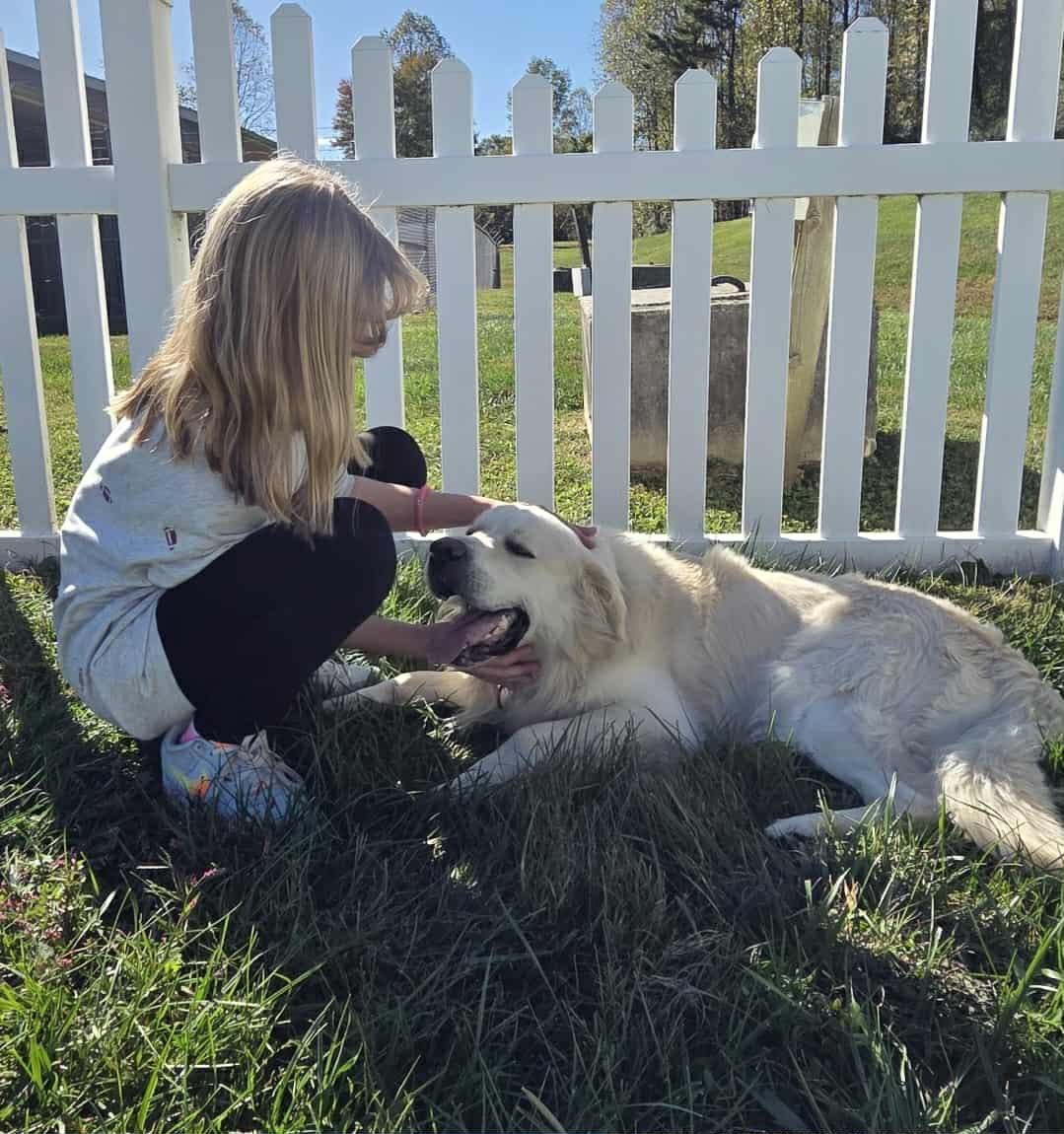 Conor, a Adoptable mixed breed in Manhasset, NY image 3/6