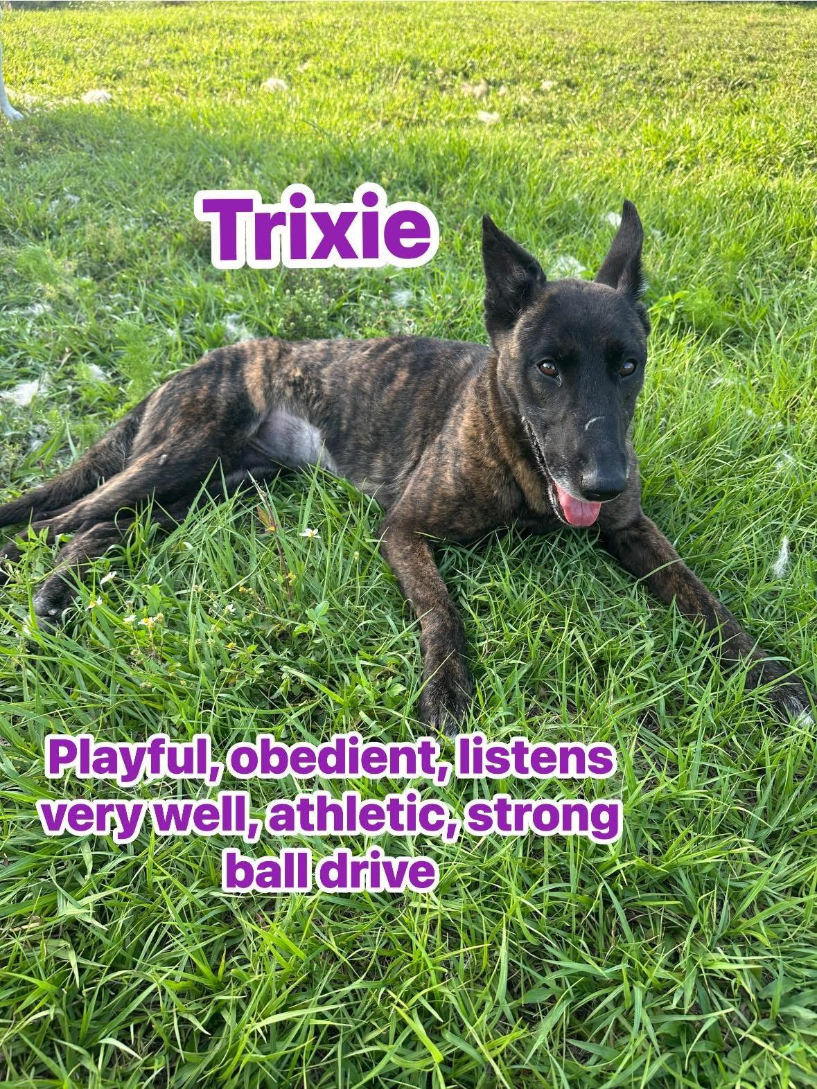 Trixie thumbnail 3