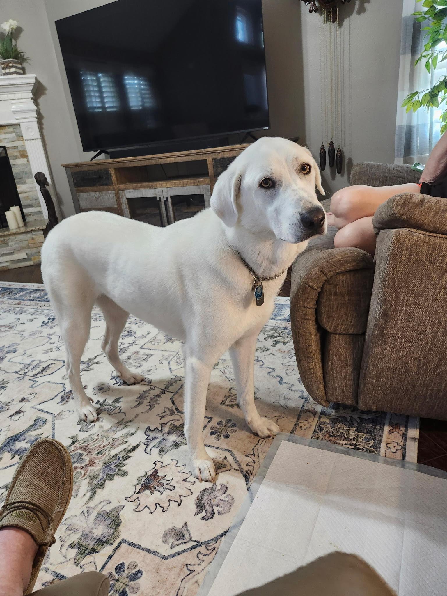 Molly
