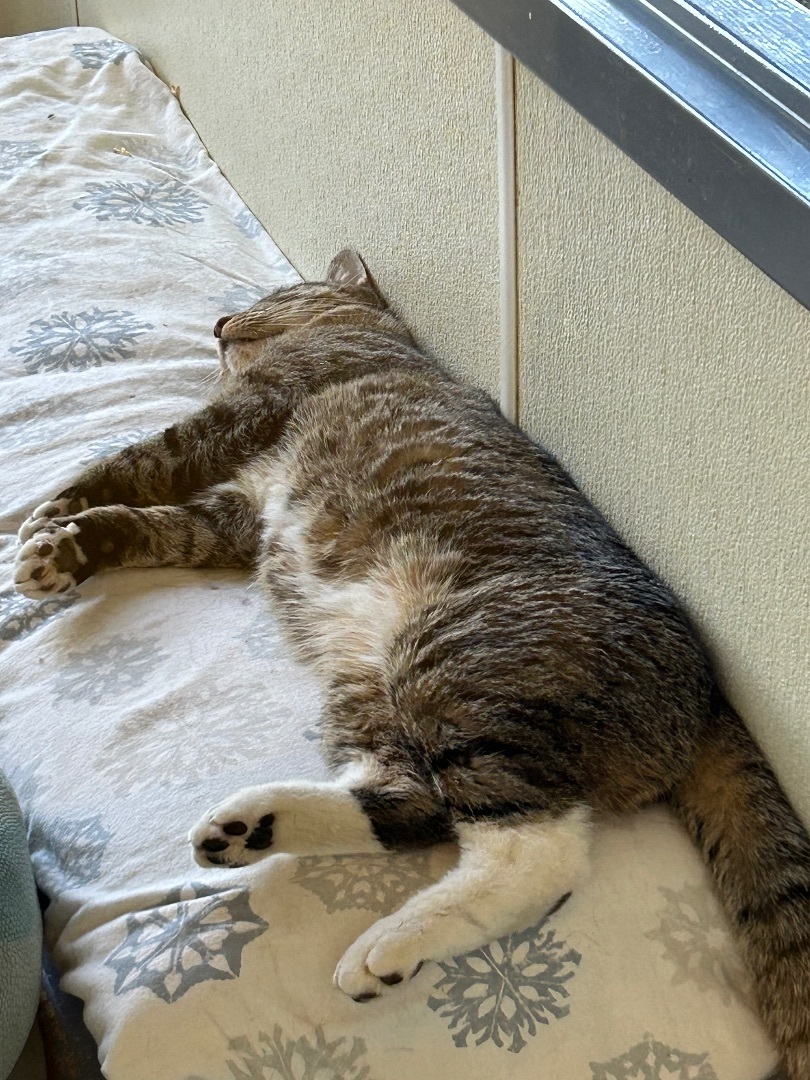 Hank photo 3