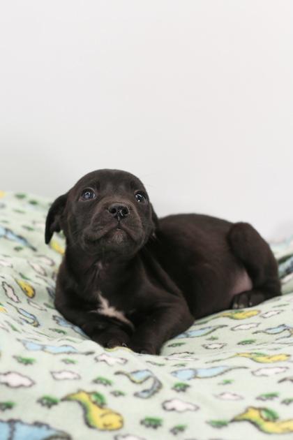 Evan — thumbnail 2