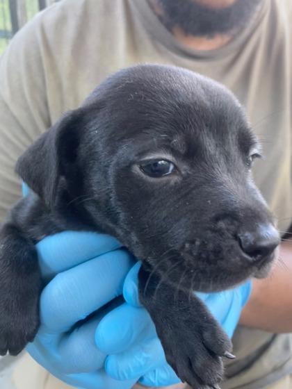 Evan — thumbnail 3