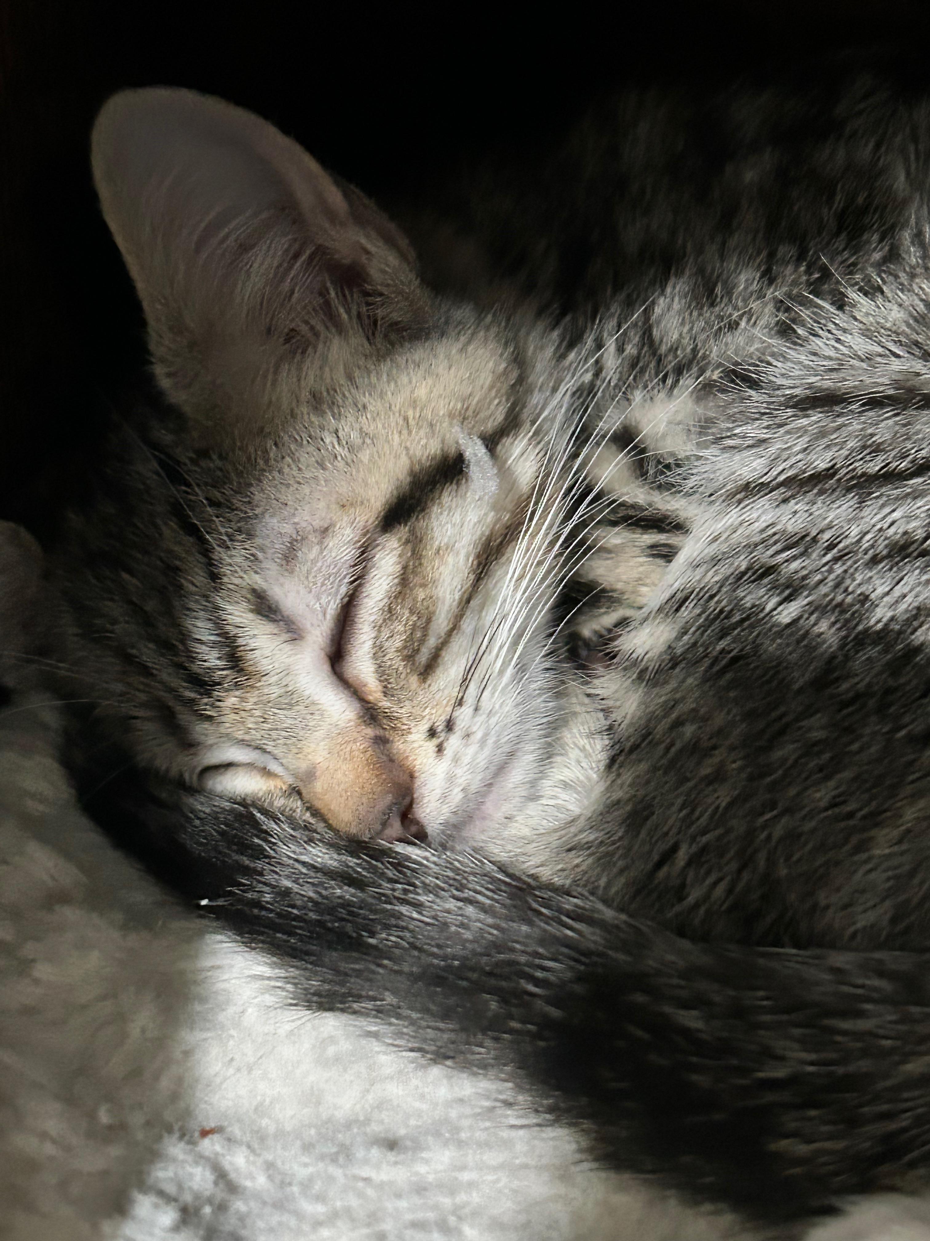 Arden (elizabeth) - The Glam Group