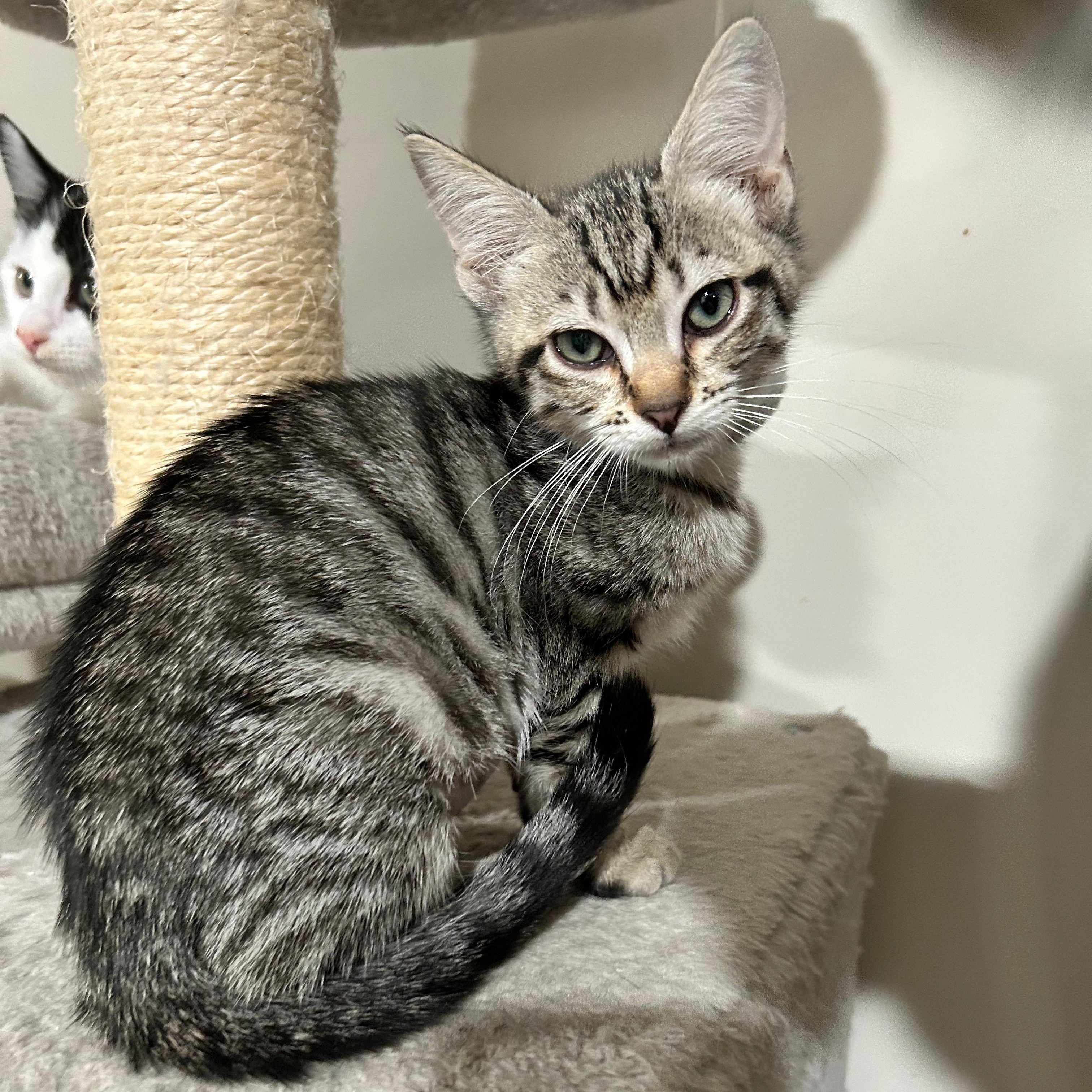 Arden (elizabeth) - The Glam Group