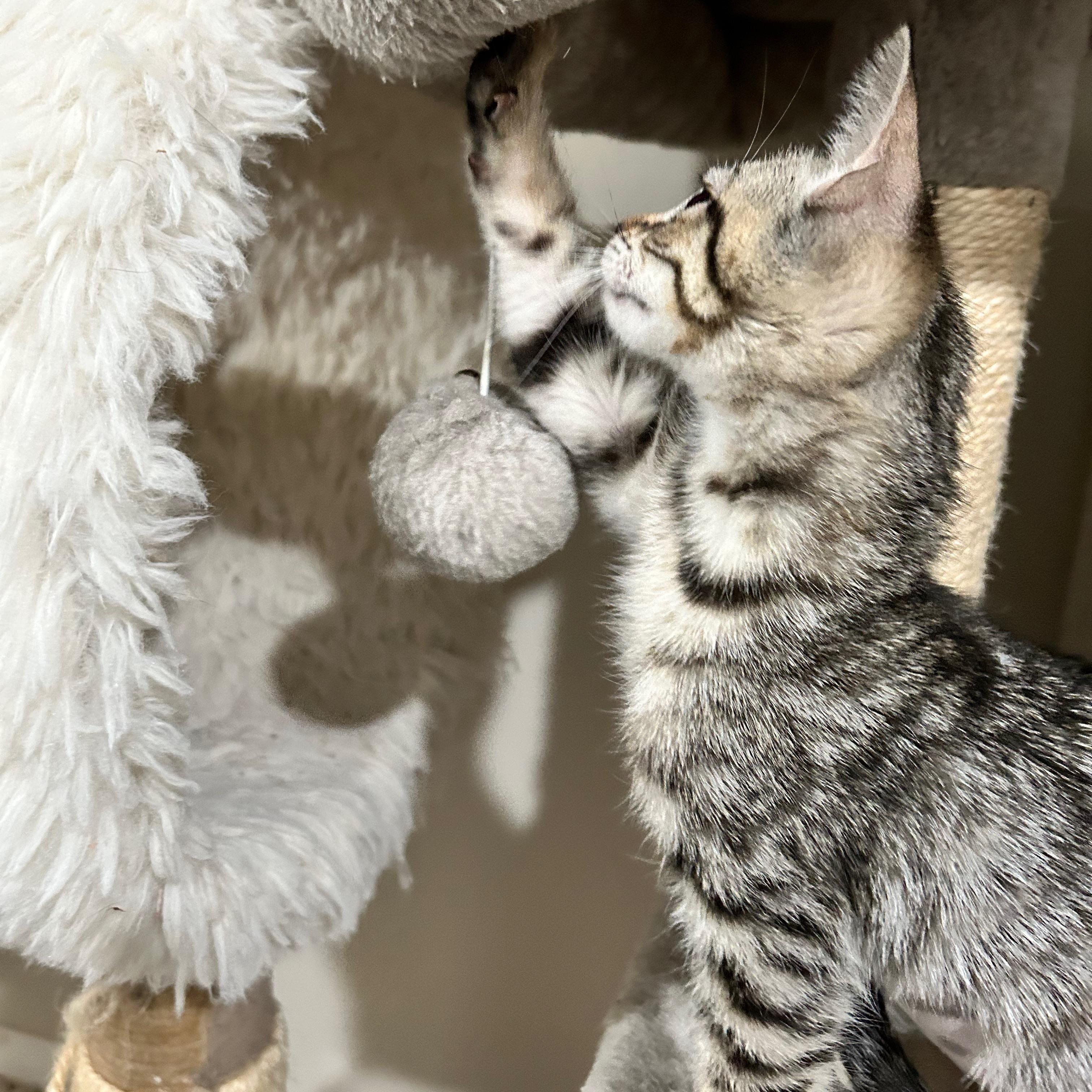 Arden (elizabeth) - The Glam Group