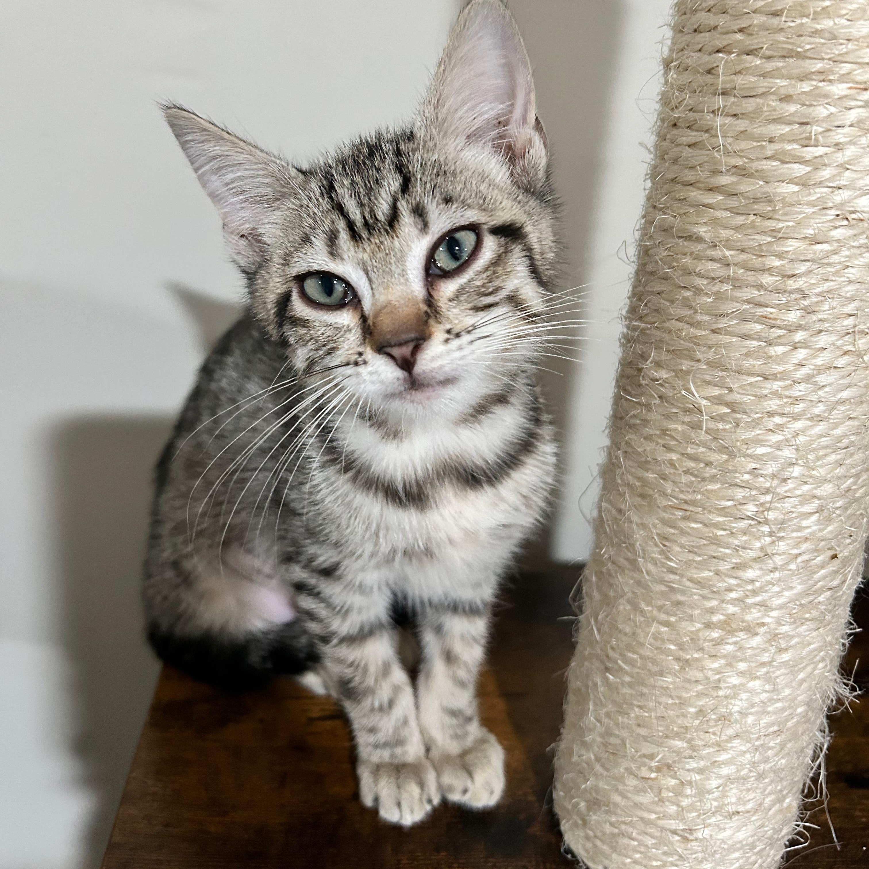 Arden (elizabeth) - The Glam Group