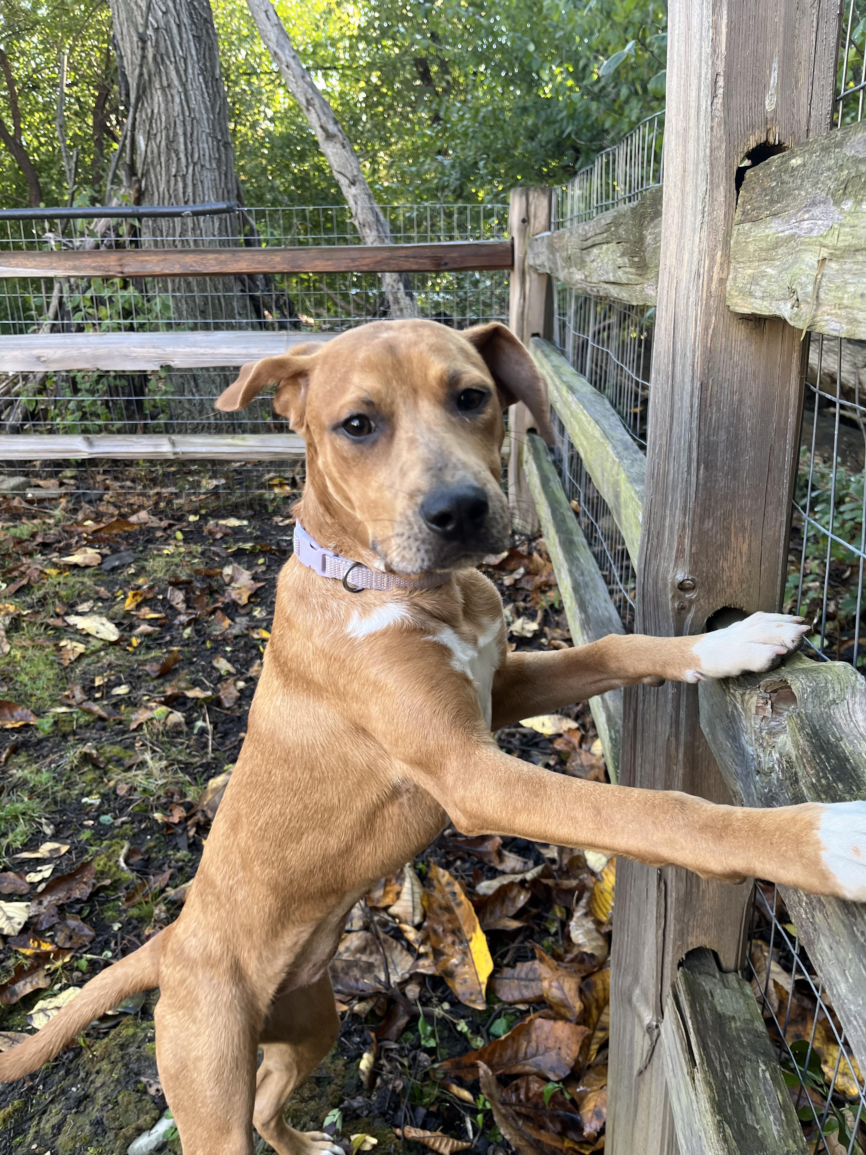 Maggie