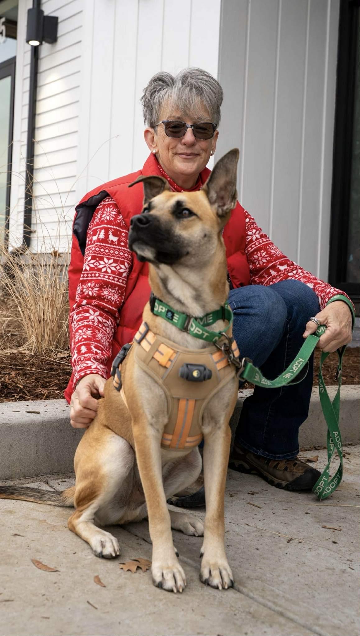 Enlarge Scout, an adopted mixed breed in Watertown, CT image 5/6