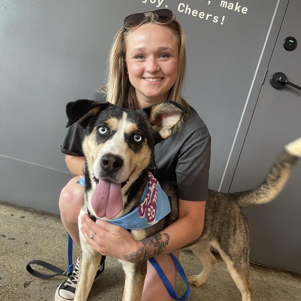 Enlarge Marzipan, a Adoptable Mixed Breed in Charleston, WV image 5/6