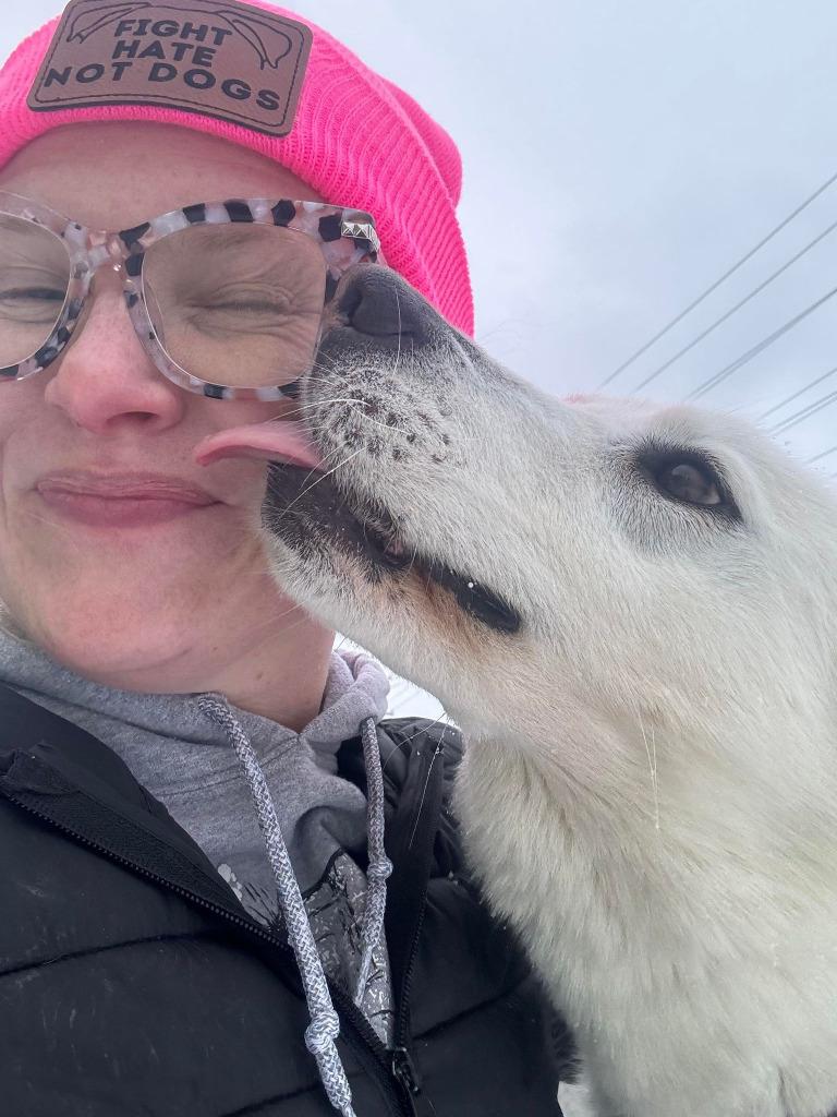 Enlarge Legend, a Adoptable mixed breed in Warren, MI image 5/6