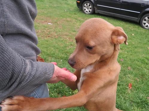 Snow White thumbnail 3