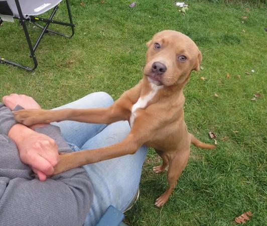 Snow White thumbnail 4