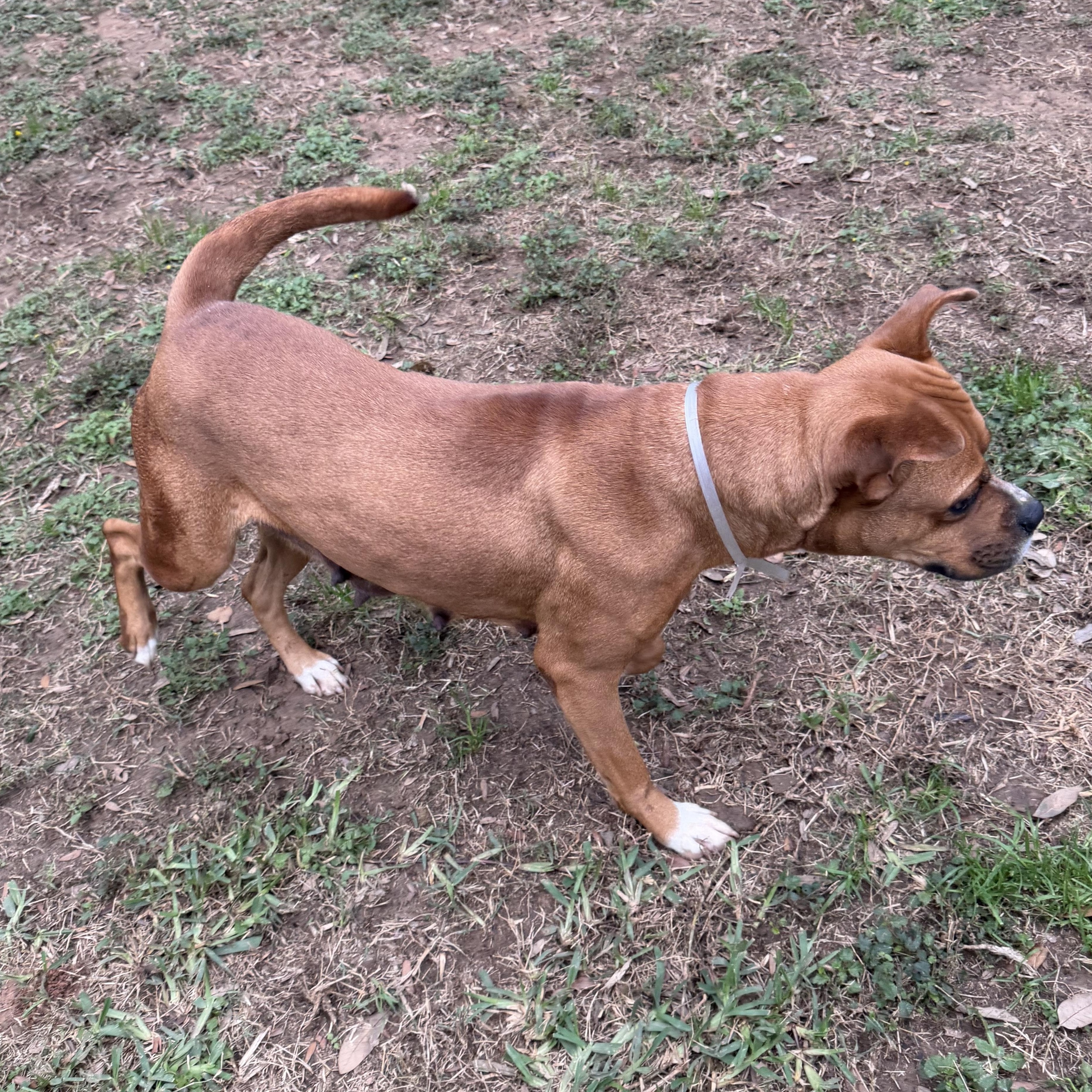 Melany — thumbnail 4