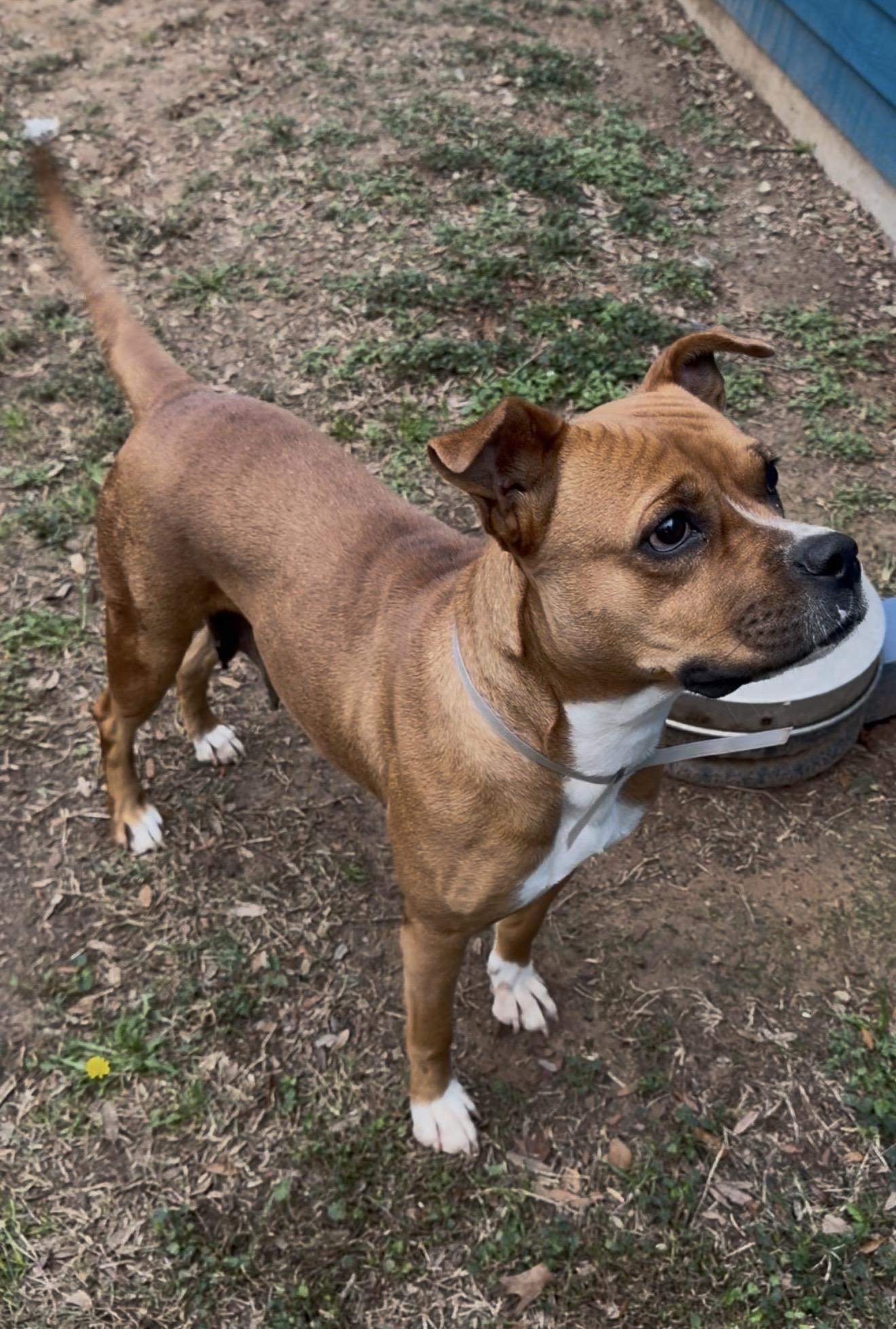 Melany — thumbnail 5