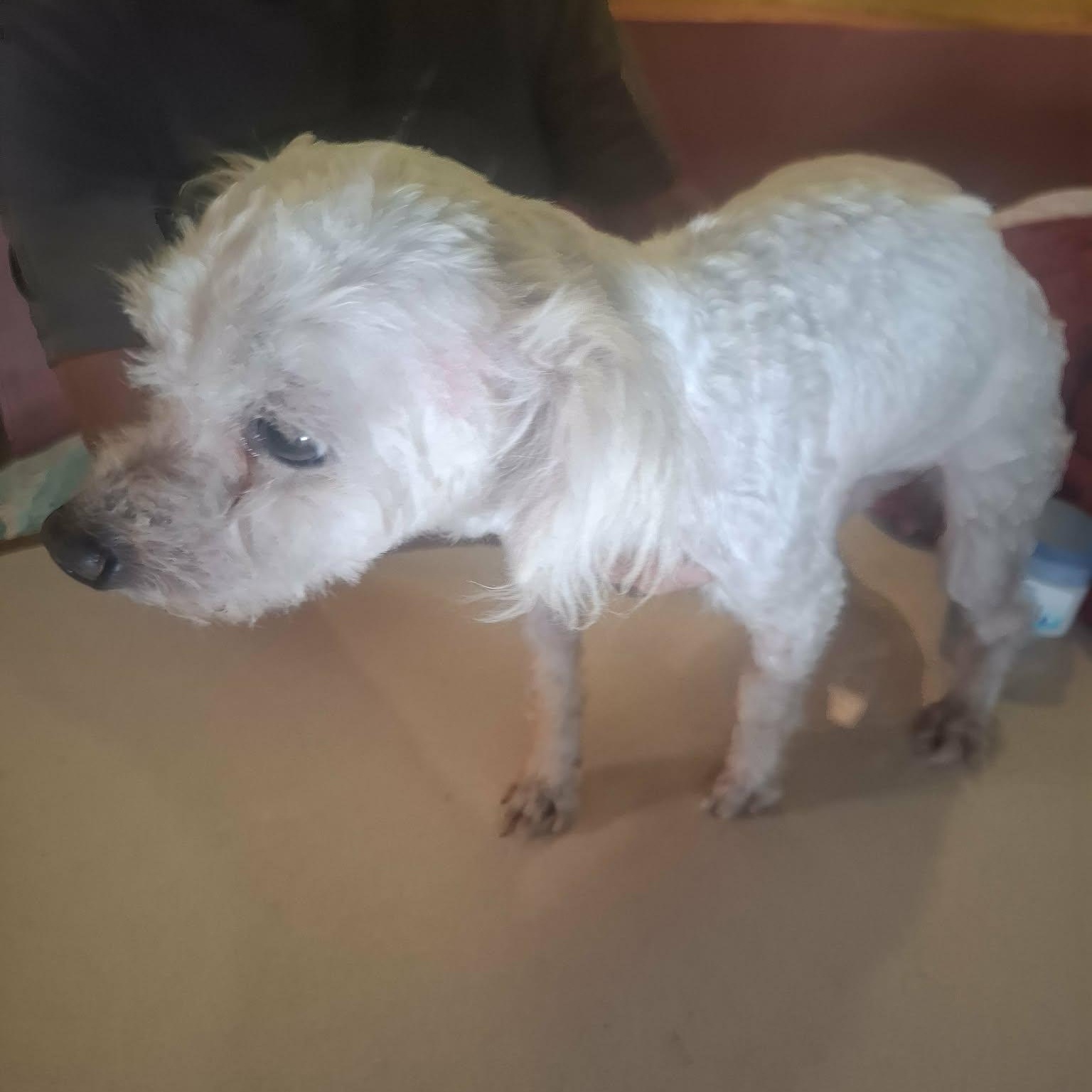 Logan — thumbnail 2