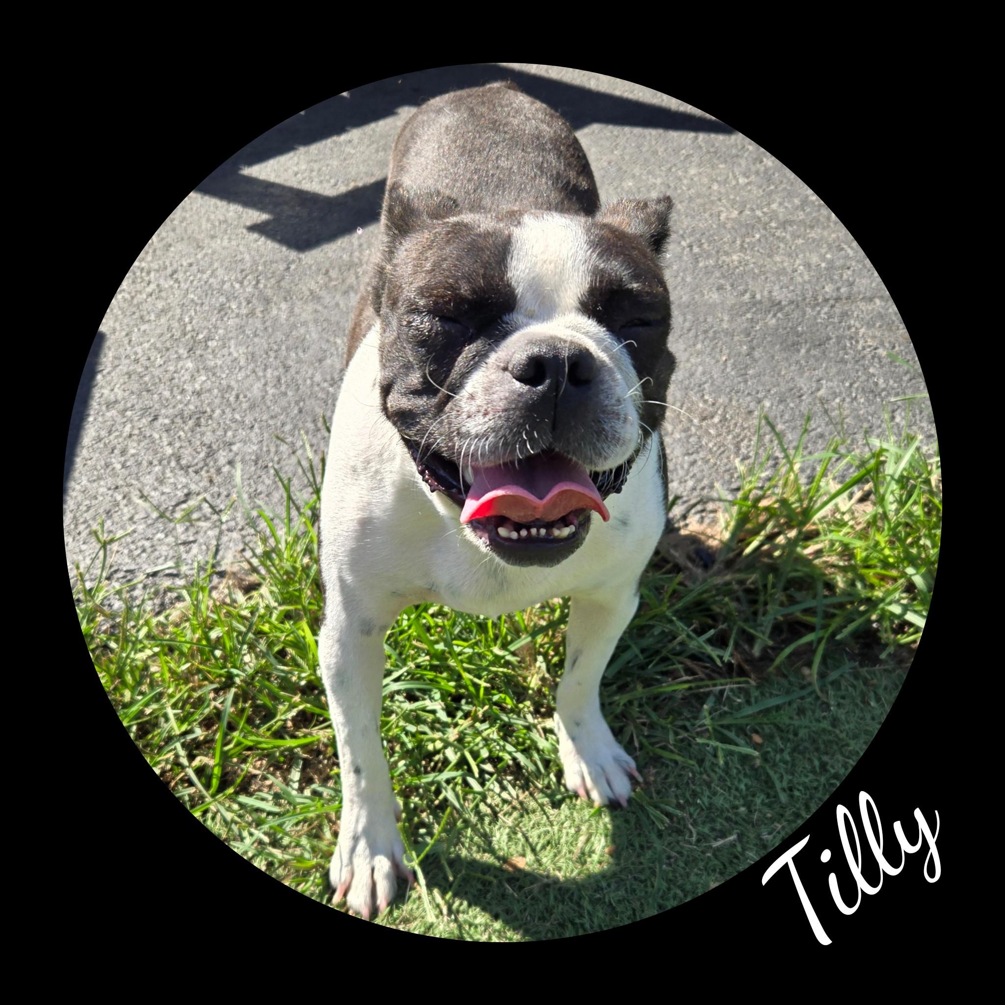 Tilly