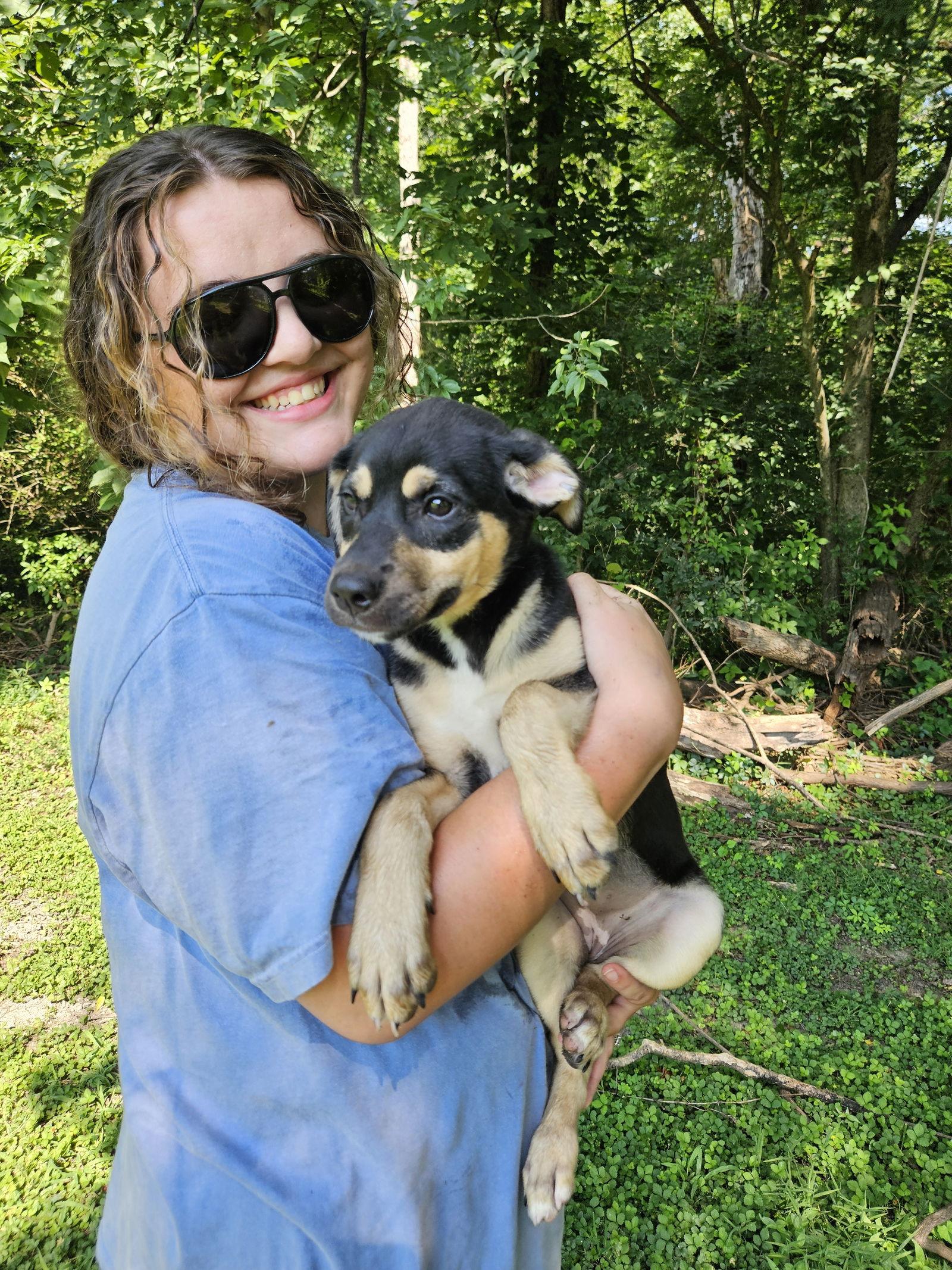 Jinx, a Adopted mixed breed in Thomasville, NC image 2/3
