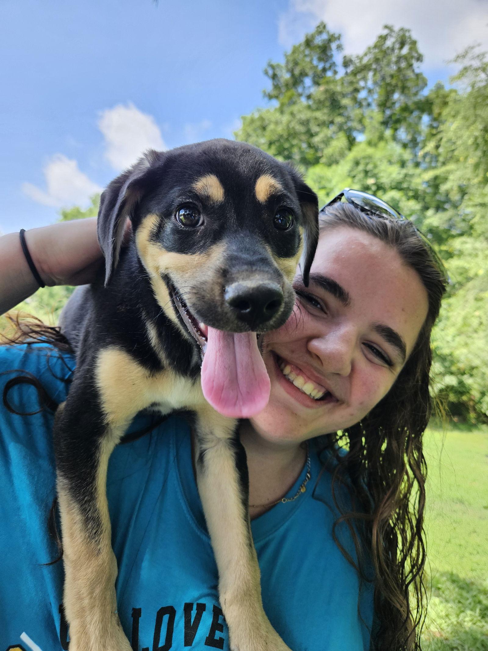 Jinx, a Adopted mixed breed in Thomasville, NC image 3/3