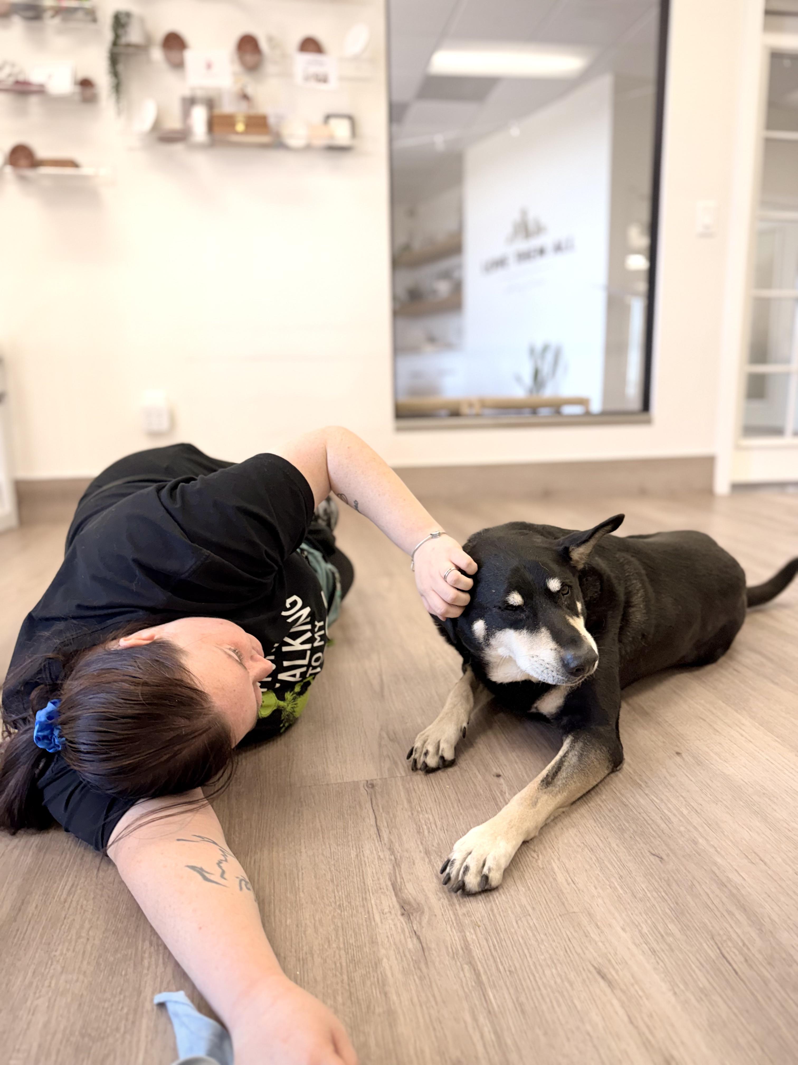 Enlarge Hulk, a Adoptable mixed breed in Scottsdale, AZ image 5/6