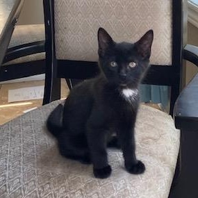 Milo