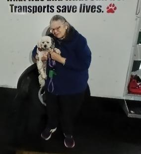 Enlarge Emma, a Adopted mixed breed in Crossville, TN image 3/6