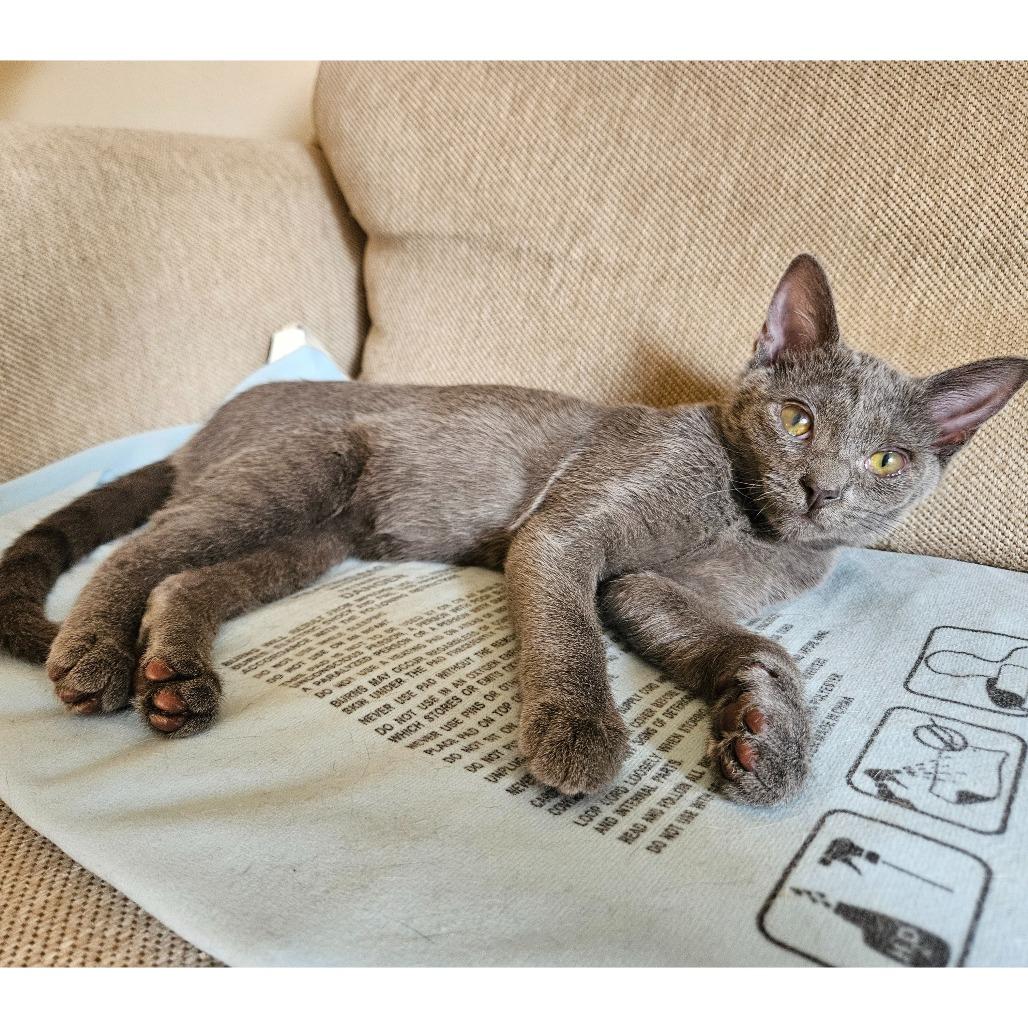 Flower Power 14 — thumbnail 7