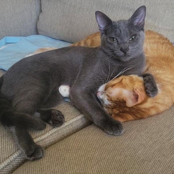 Flower Power 14 — thumbnail 8