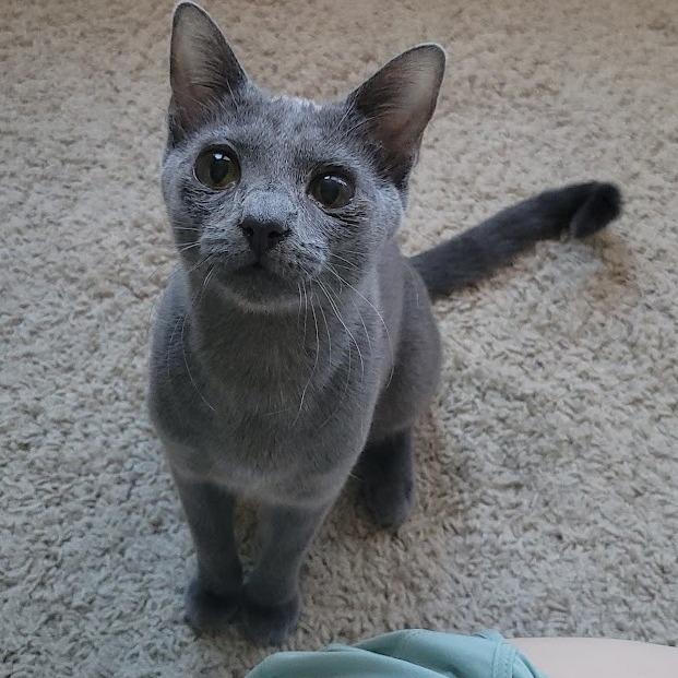 Flower Power 14 — thumbnail 9